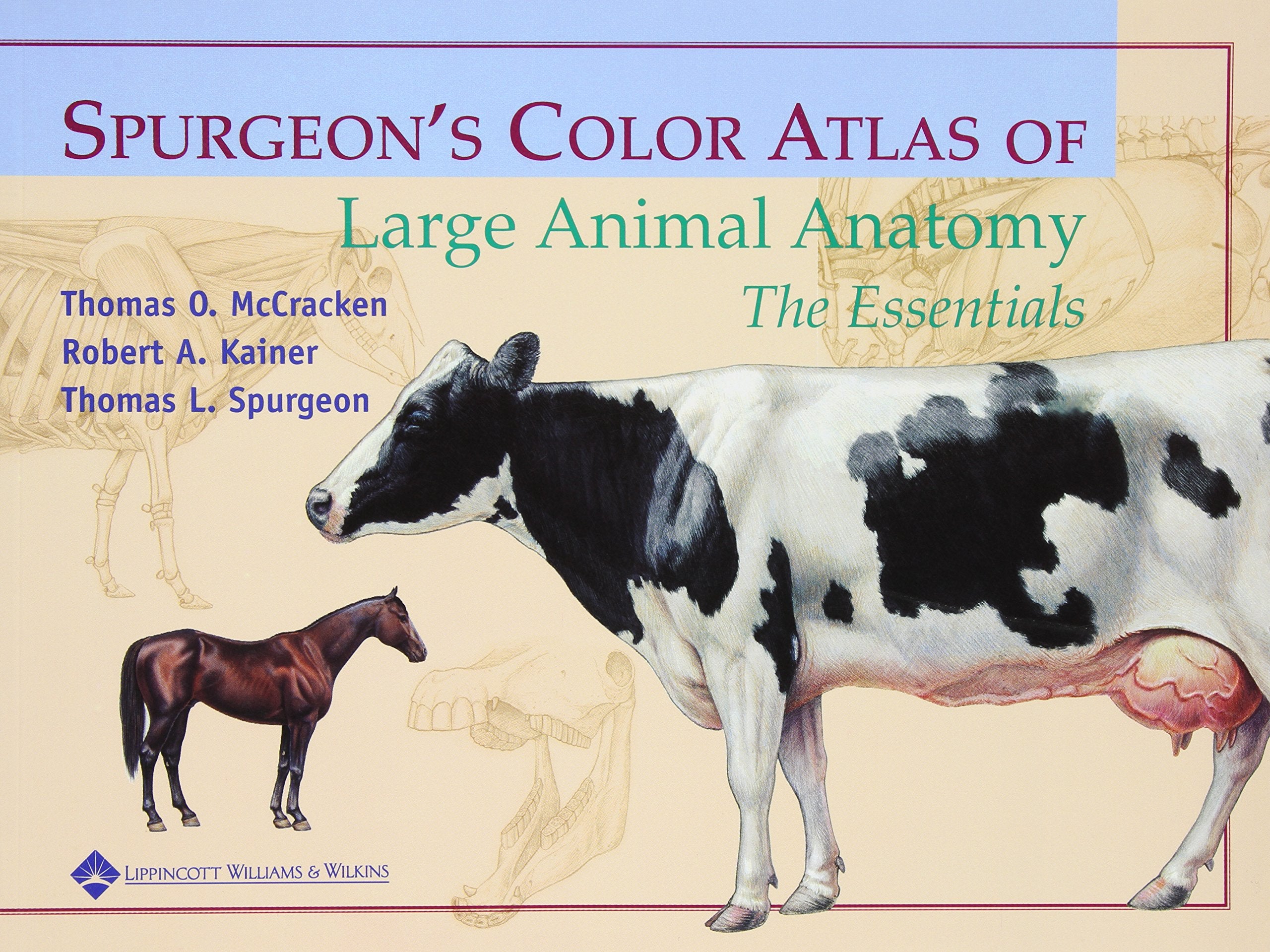 Spurgeon's Color Atlas of Large Animal Anatomy: The Essentials,Used
