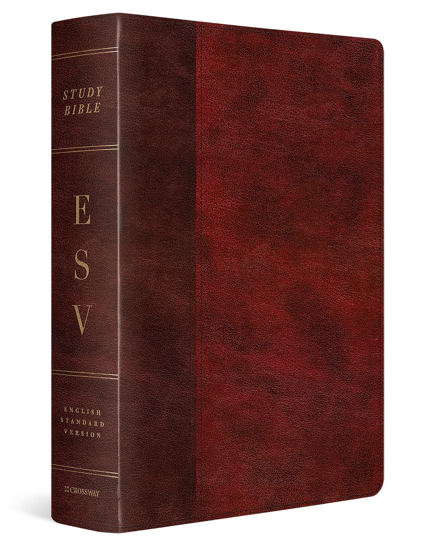 ESV Study Bible (TruTone, Burgundy/Red, Timeless Design),Used