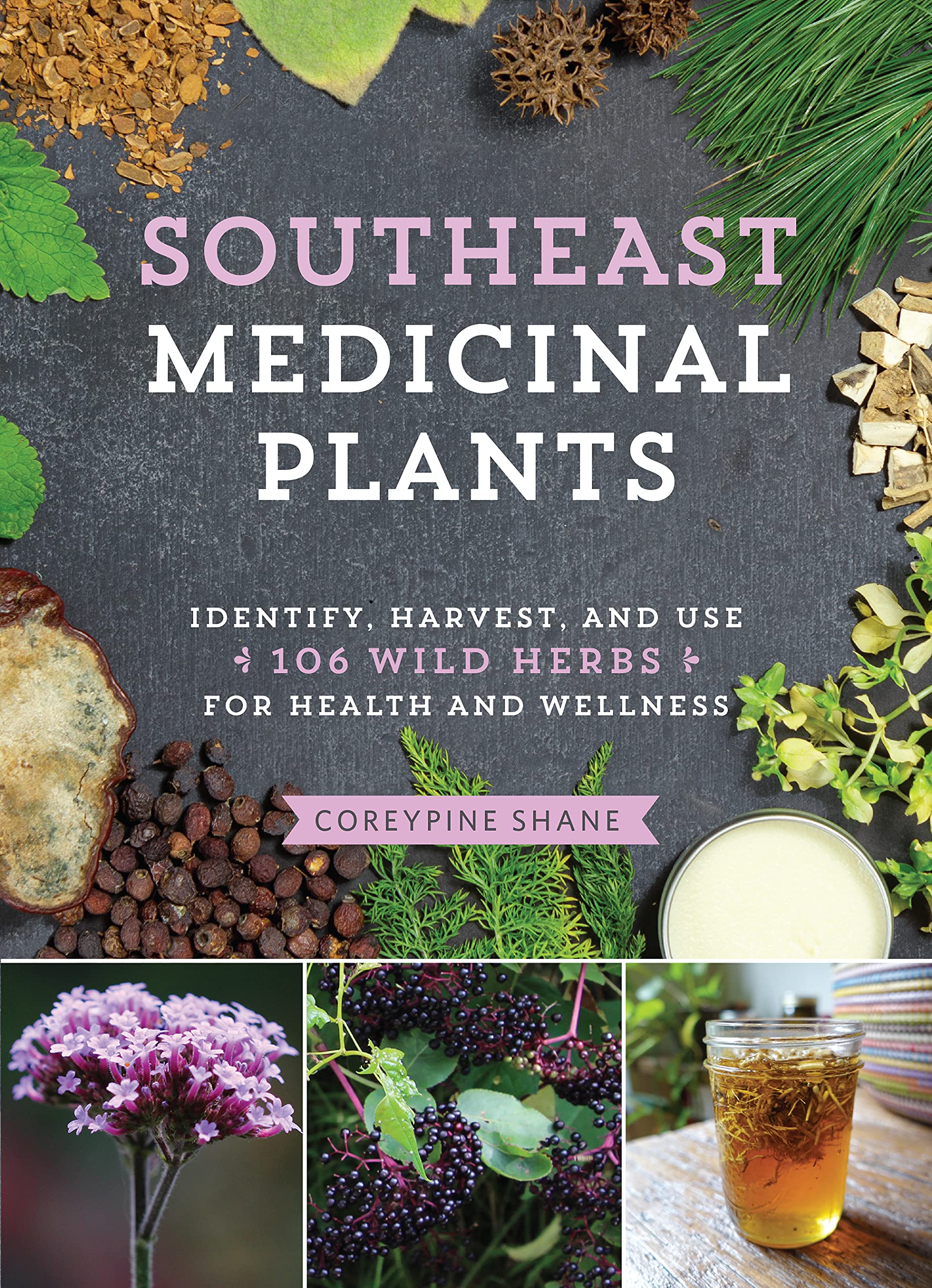 Southeast Medicinal Plants: Identify, Harvest, and Use 106 Wild Herbs for Health and Wellness (Medicinal Plants Series),Used