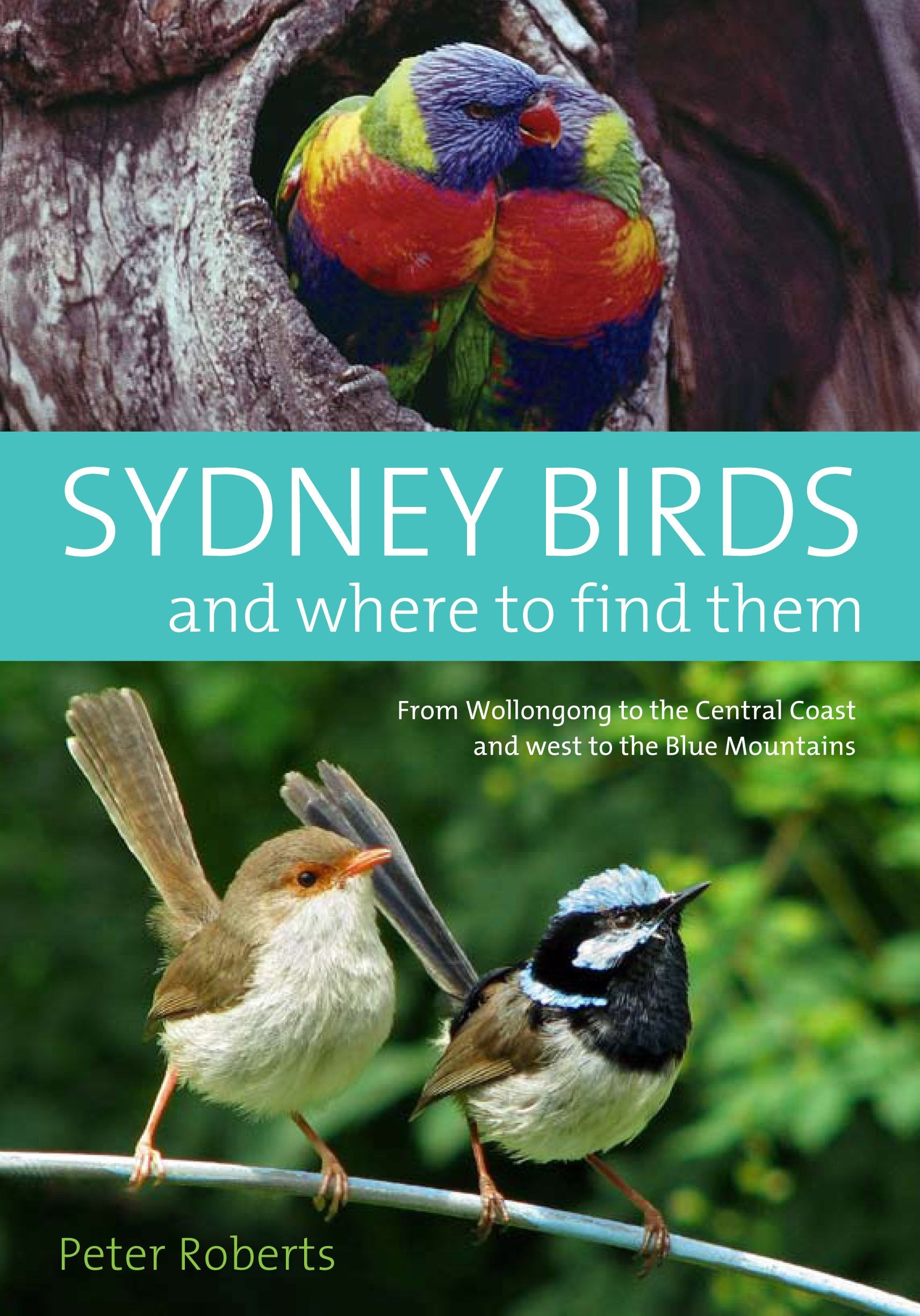Sydney Birds And Where To Find Them