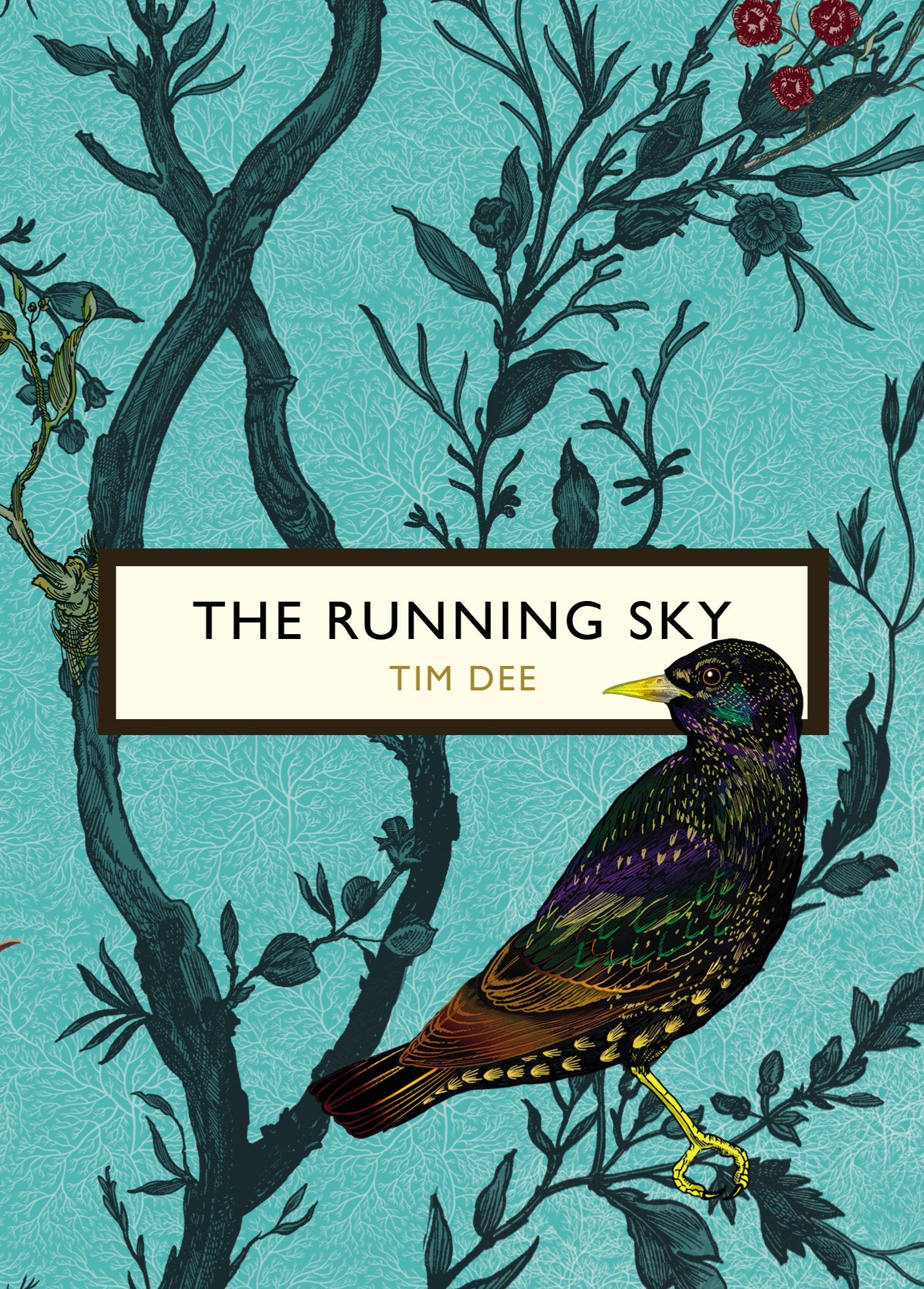 RUNNING SKY (THE BIRDS AND BEES),Used