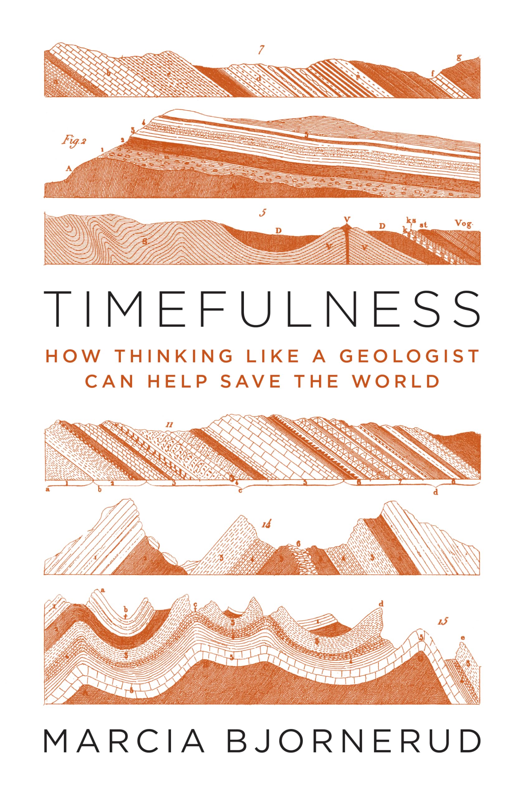 Timefulness: How Thinking Like a Geologist Can Help Save the World,New