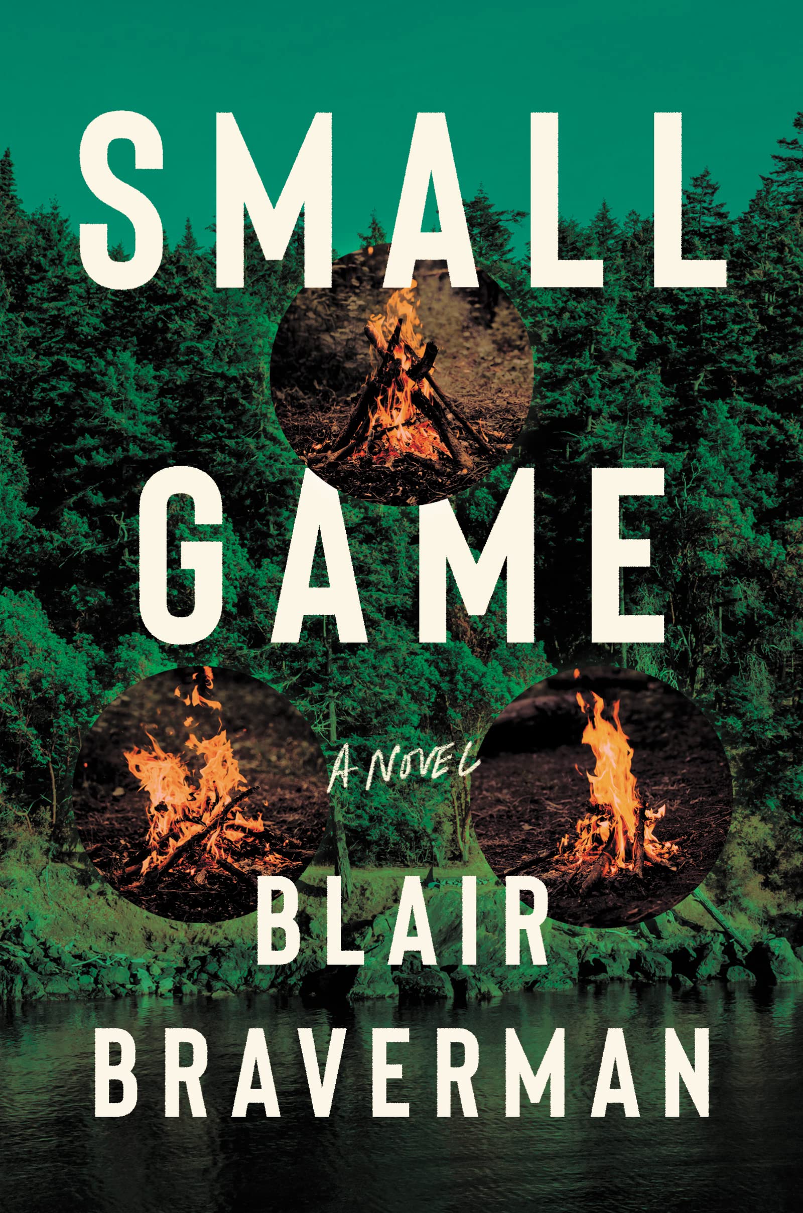 Small Game: A Novel,Used