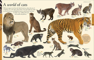 Animals: A Visual Encyclopedia (Second Edition) (Dk Children'S Visual Encyclopedias),Used