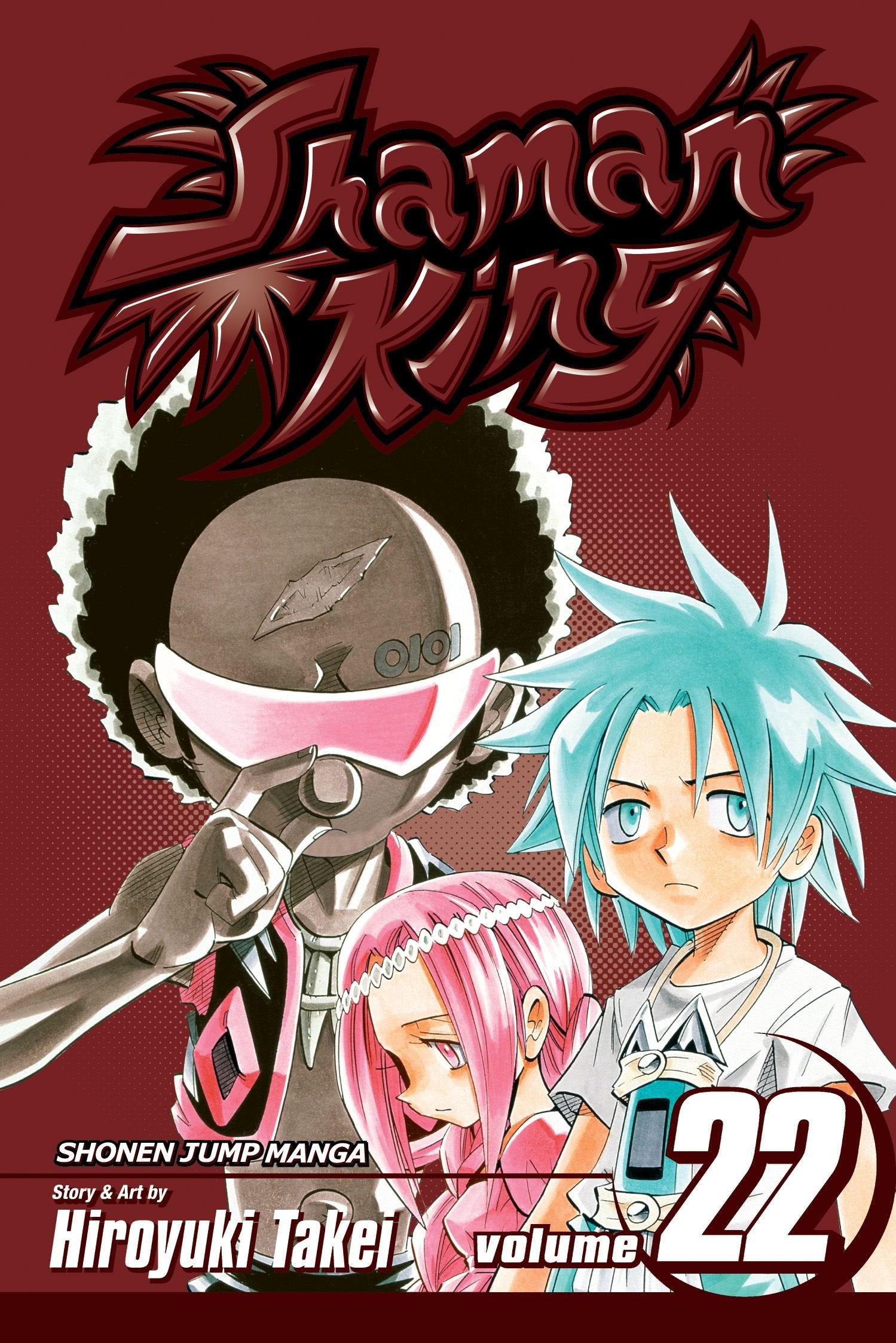 Shaman King, Vol. 22 (22)