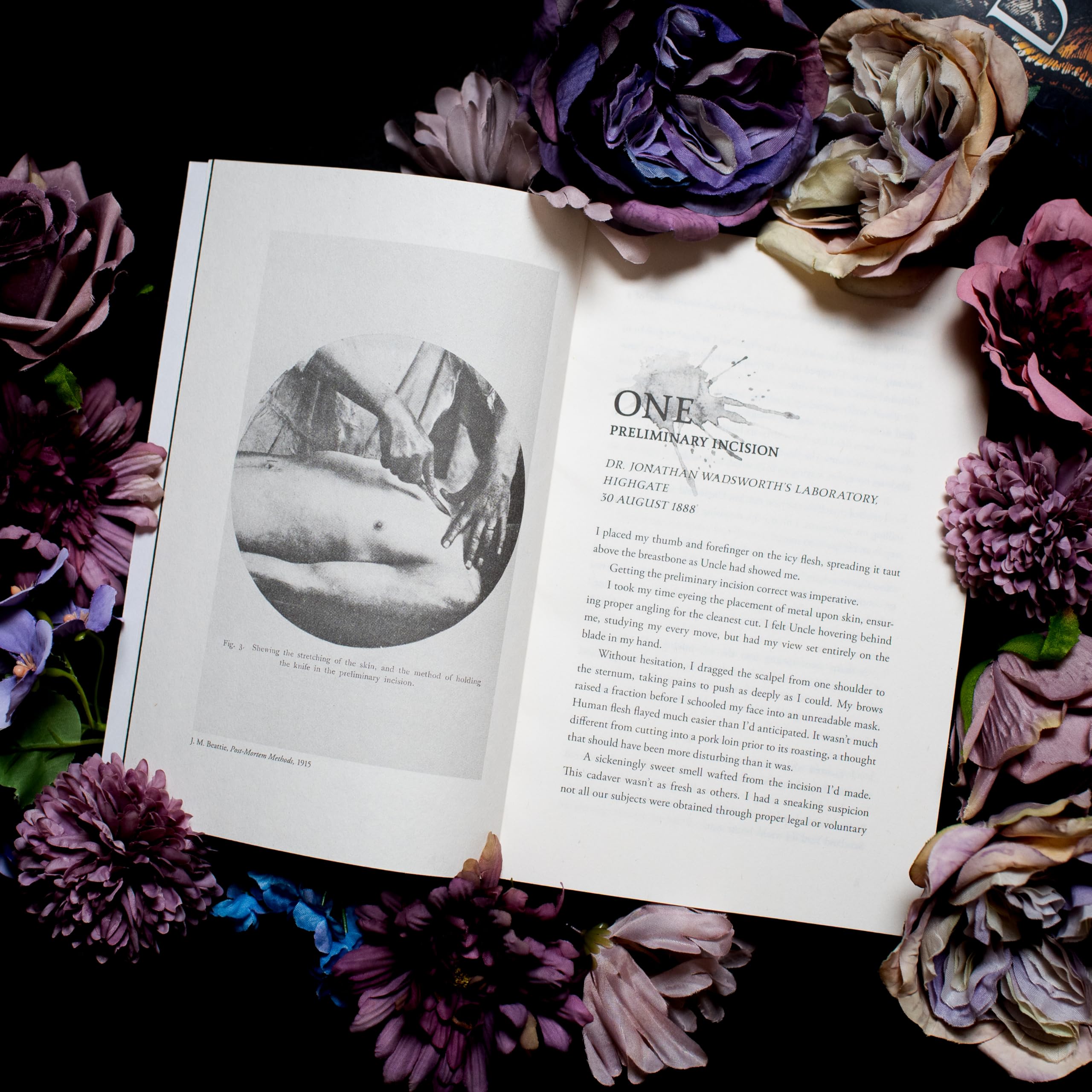 Stalking Jack the Ripper (Stalking Jack the Ripper, 1),Used