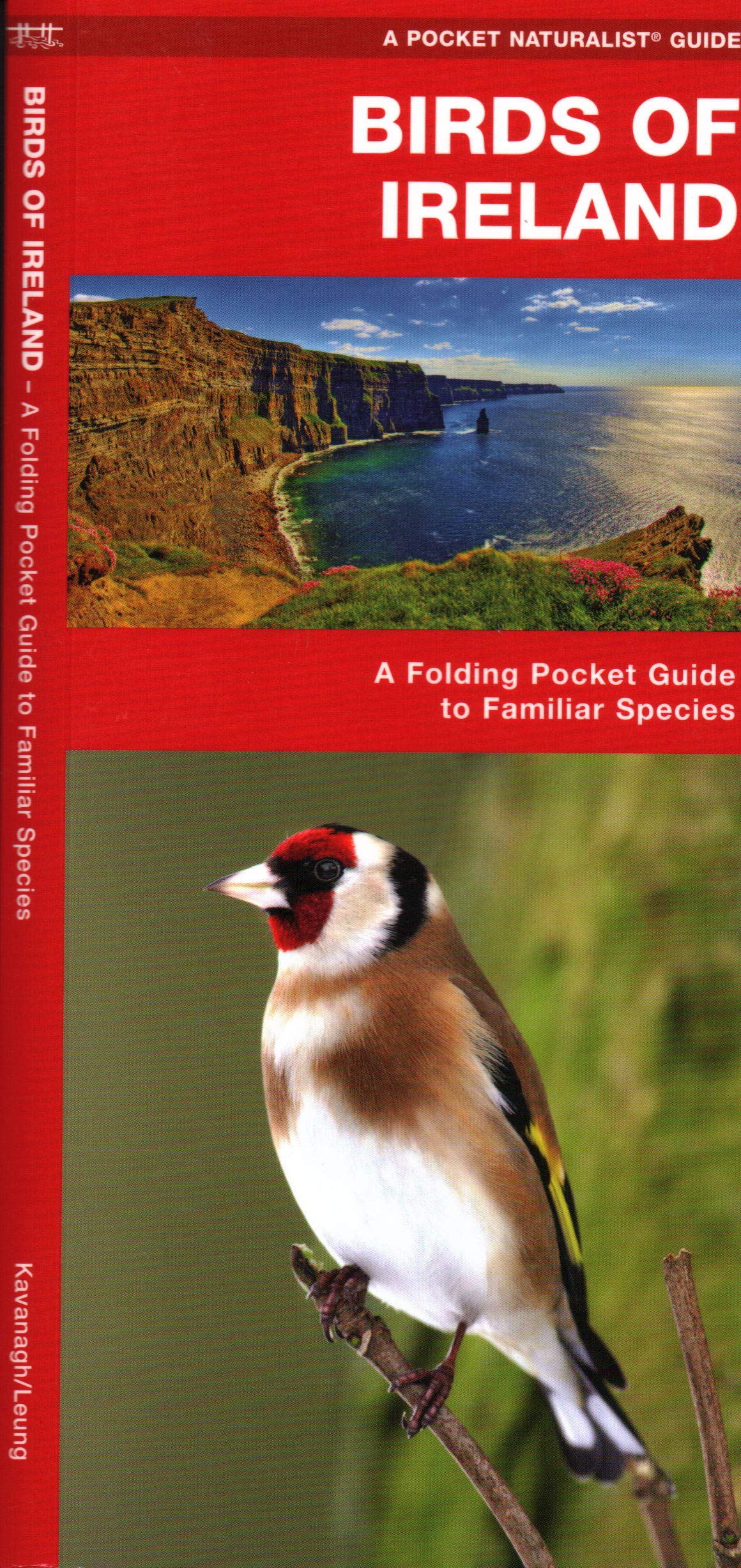 Ireland Birds: A Folding Pocket Guide To Familiar Species (A Pocket Naturalist Guide)