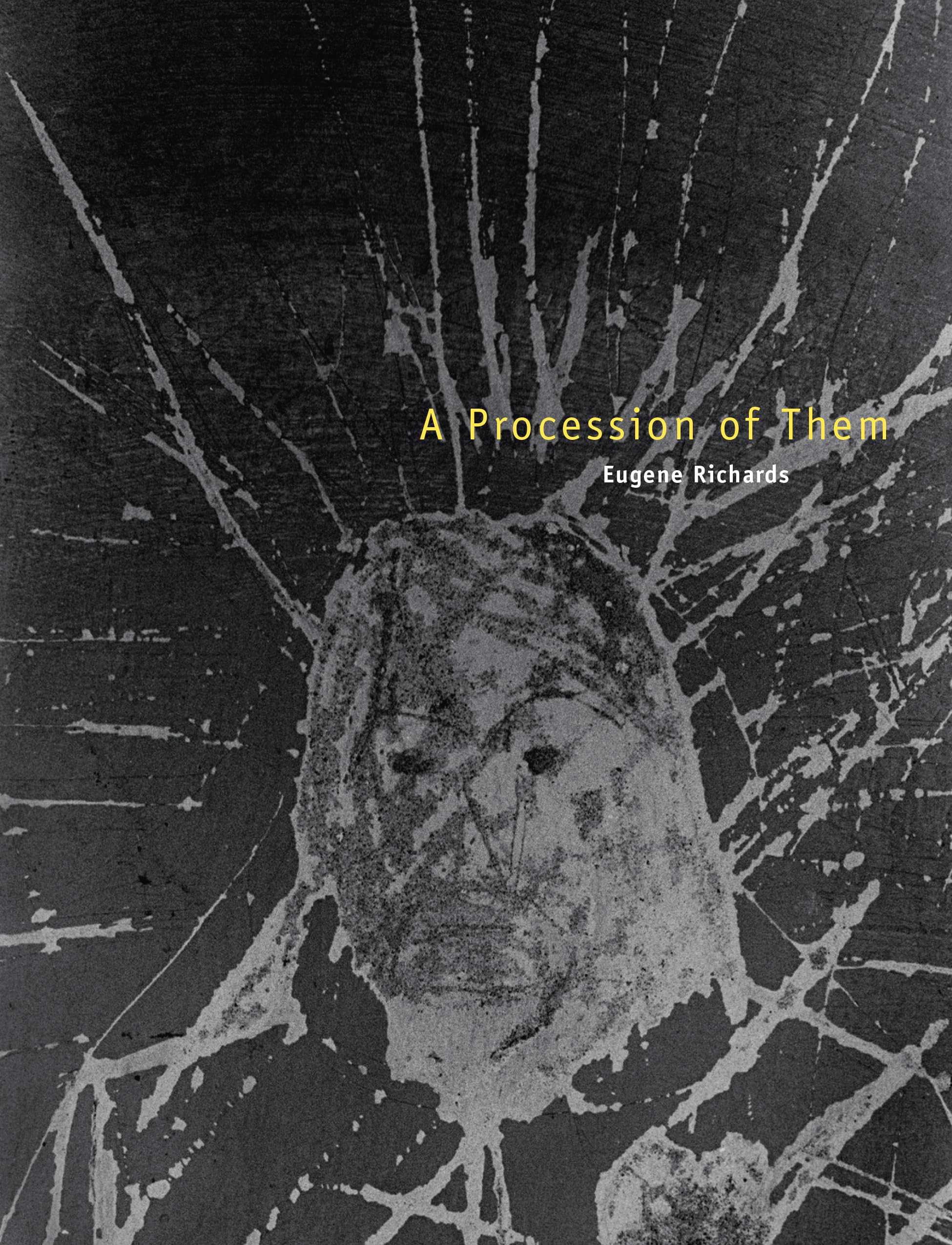 A Procession Of Them (William And Bettye Nowlin Series In Art, History, And Culture)-used