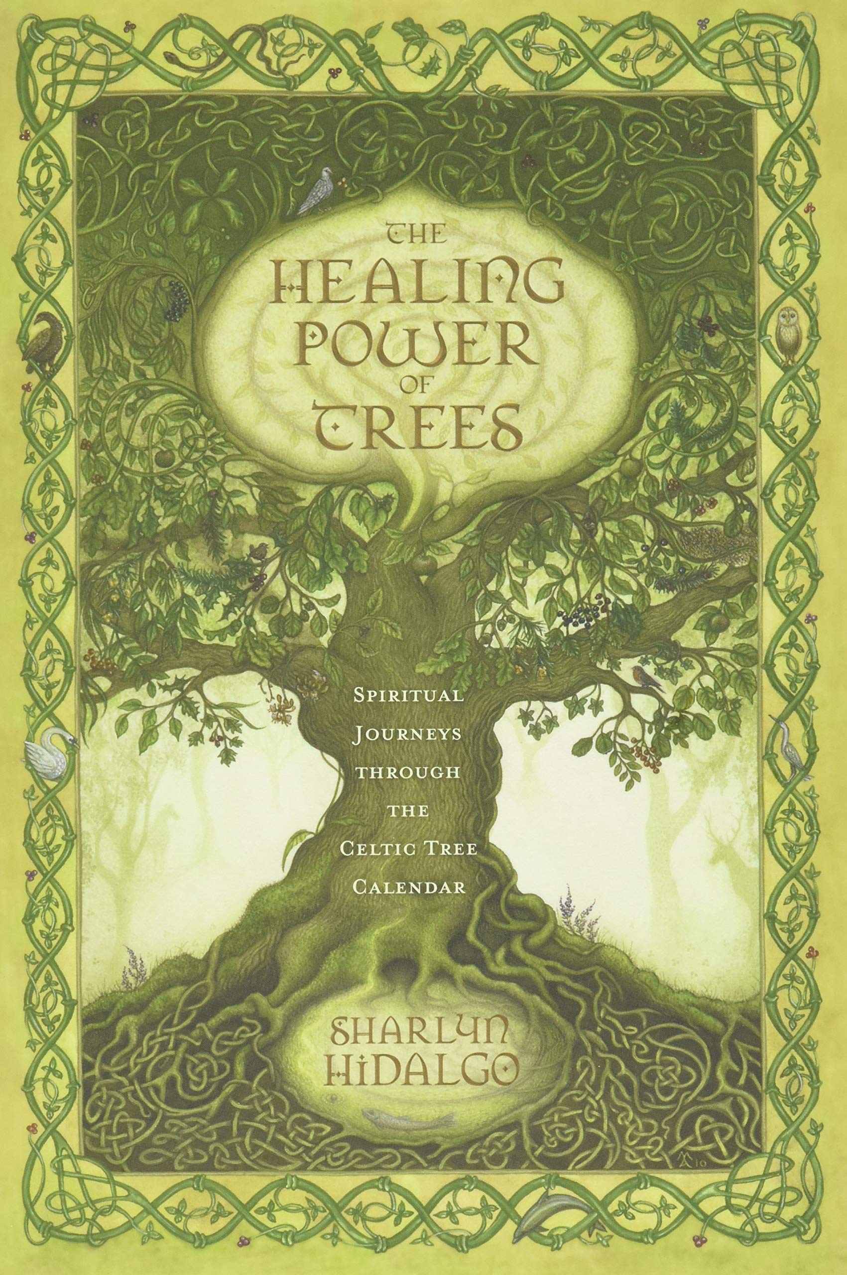 The Healing Power Of Trees: Spiritual Journeys Through The Celtic Tree Calendar,Used