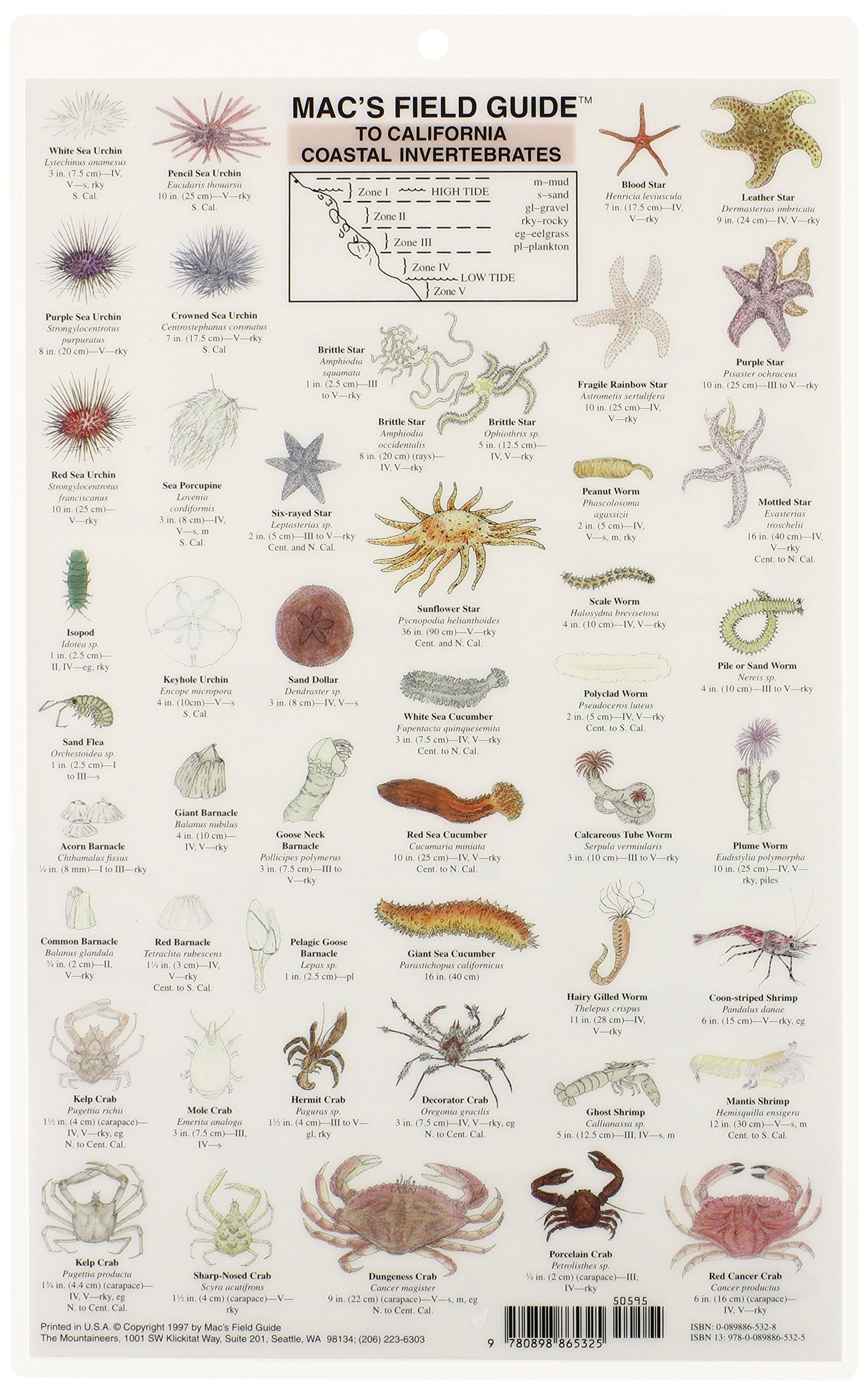 California Coastal Invertebrates (Mac's Guides),Used