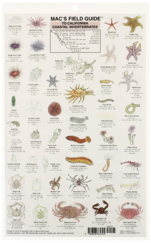 California Coastal Invertebrates (Mac's Guides),Used