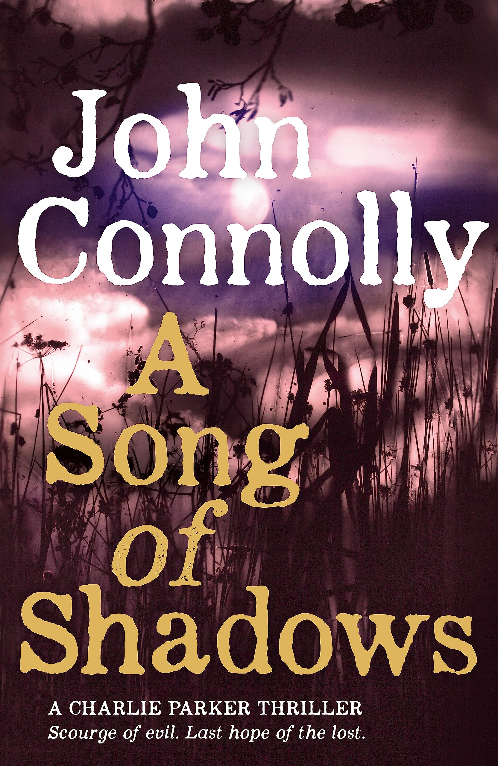 A Song of Shadows: A Charlie Parker Thriller: 13,Used