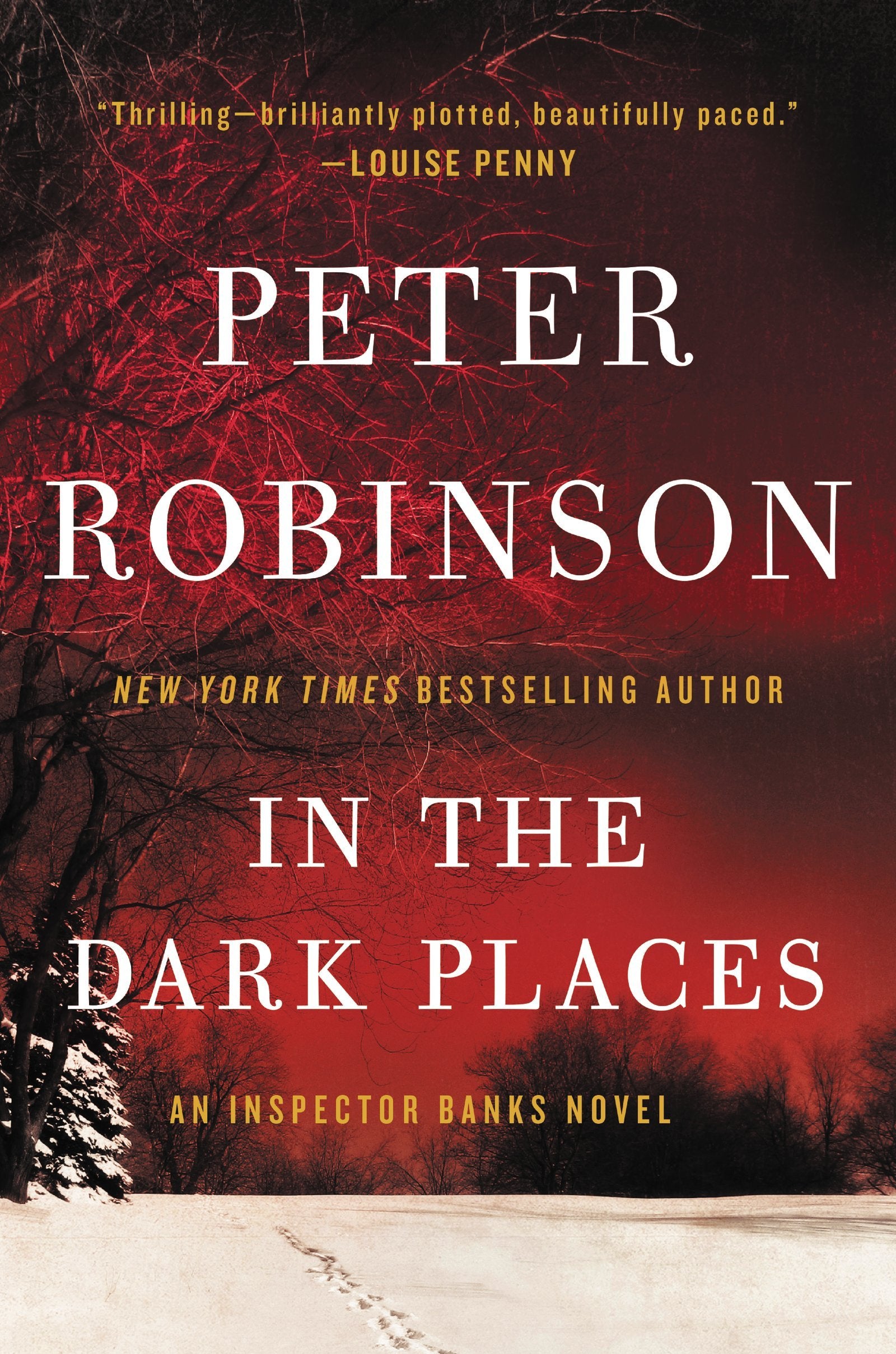 In The Dark Places: An Inspector Banks Novel (Inspector Banks Novels, 22)