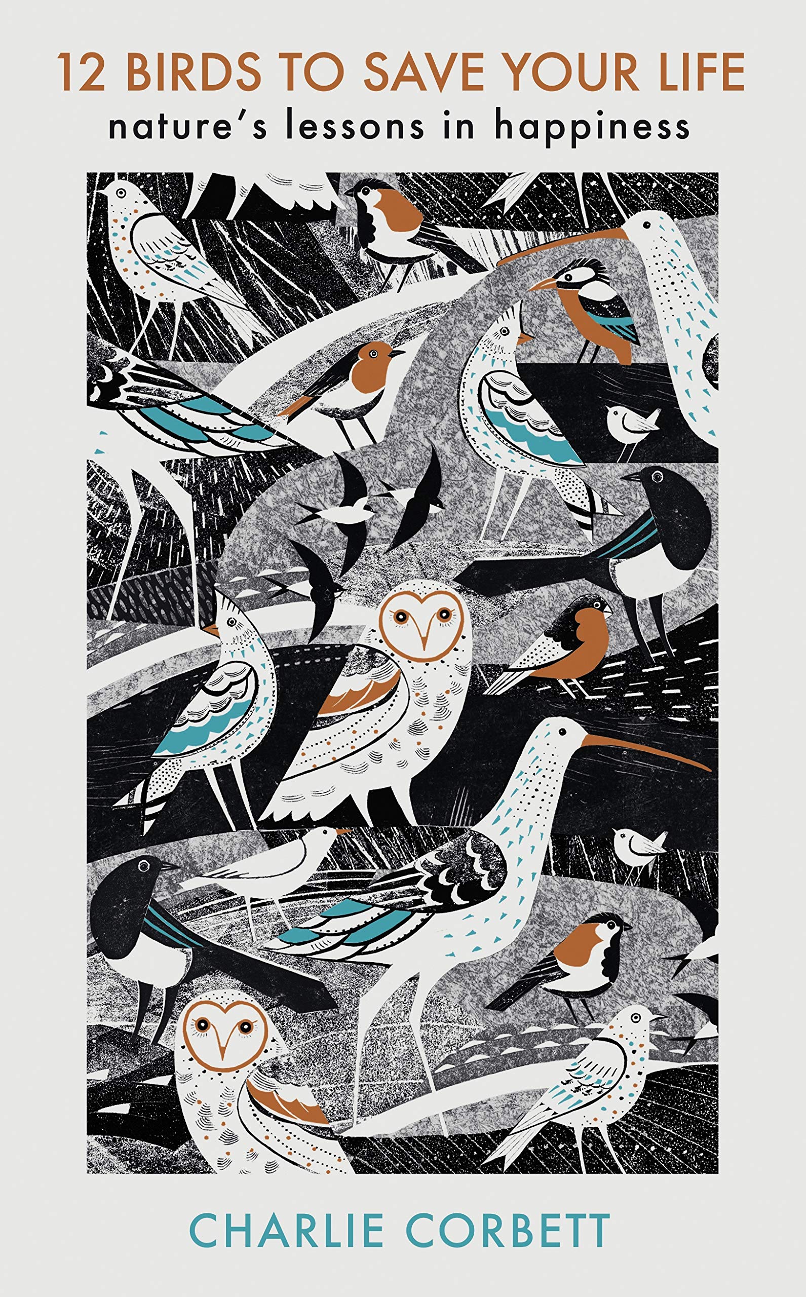 12 Birds To Save Your Life: Nature'S Lessons In Happiness,New