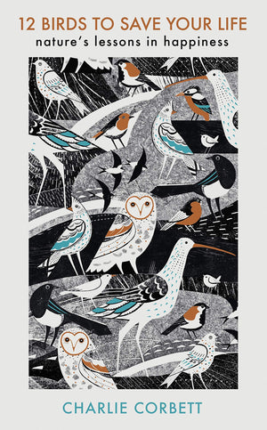 12 Birds To Save Your Life: Nature'S Lessons In Happiness,New
