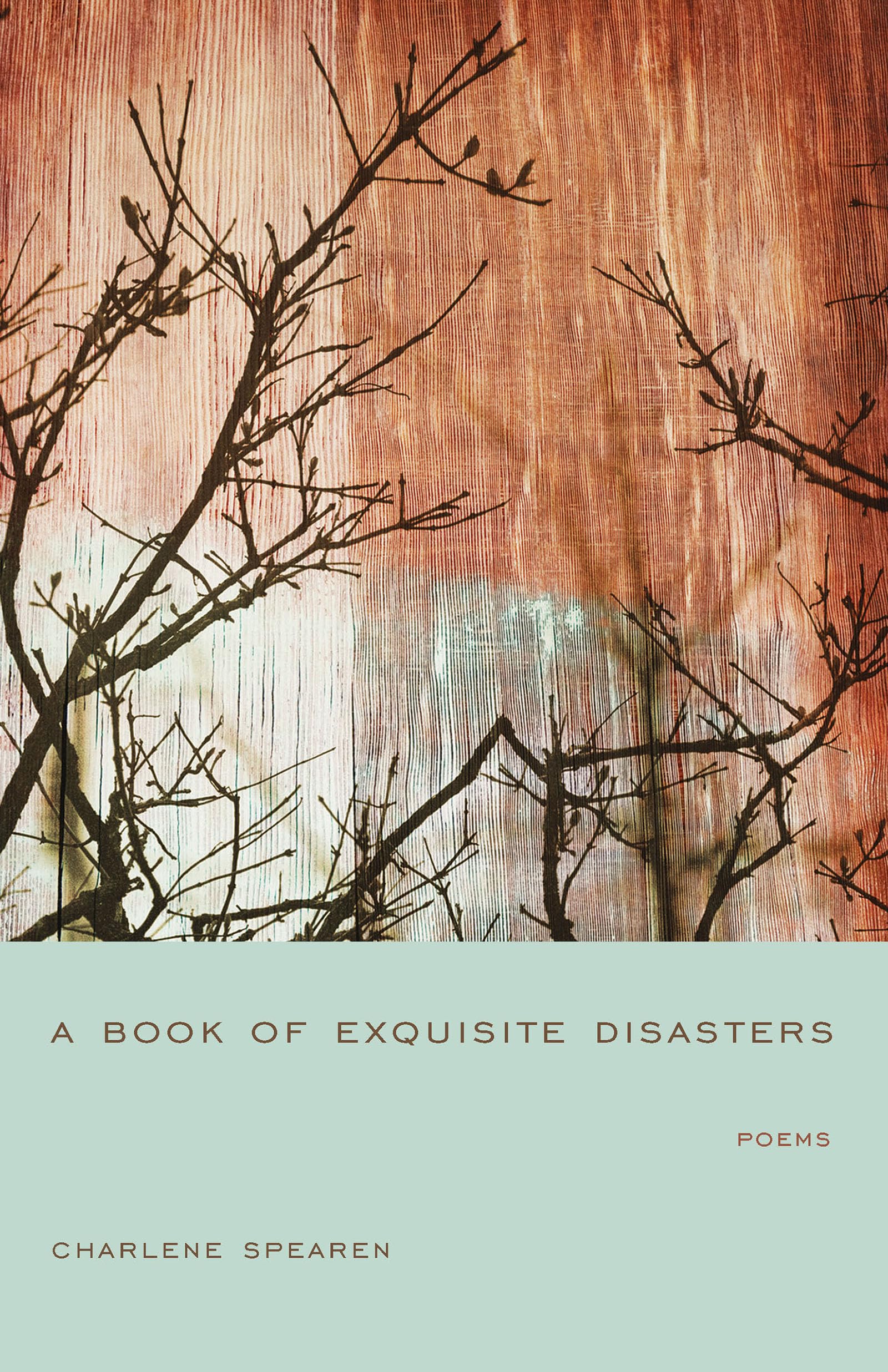 A Book Of Exquisite Disasters: Poems (Palmetto Poetry Series),Used