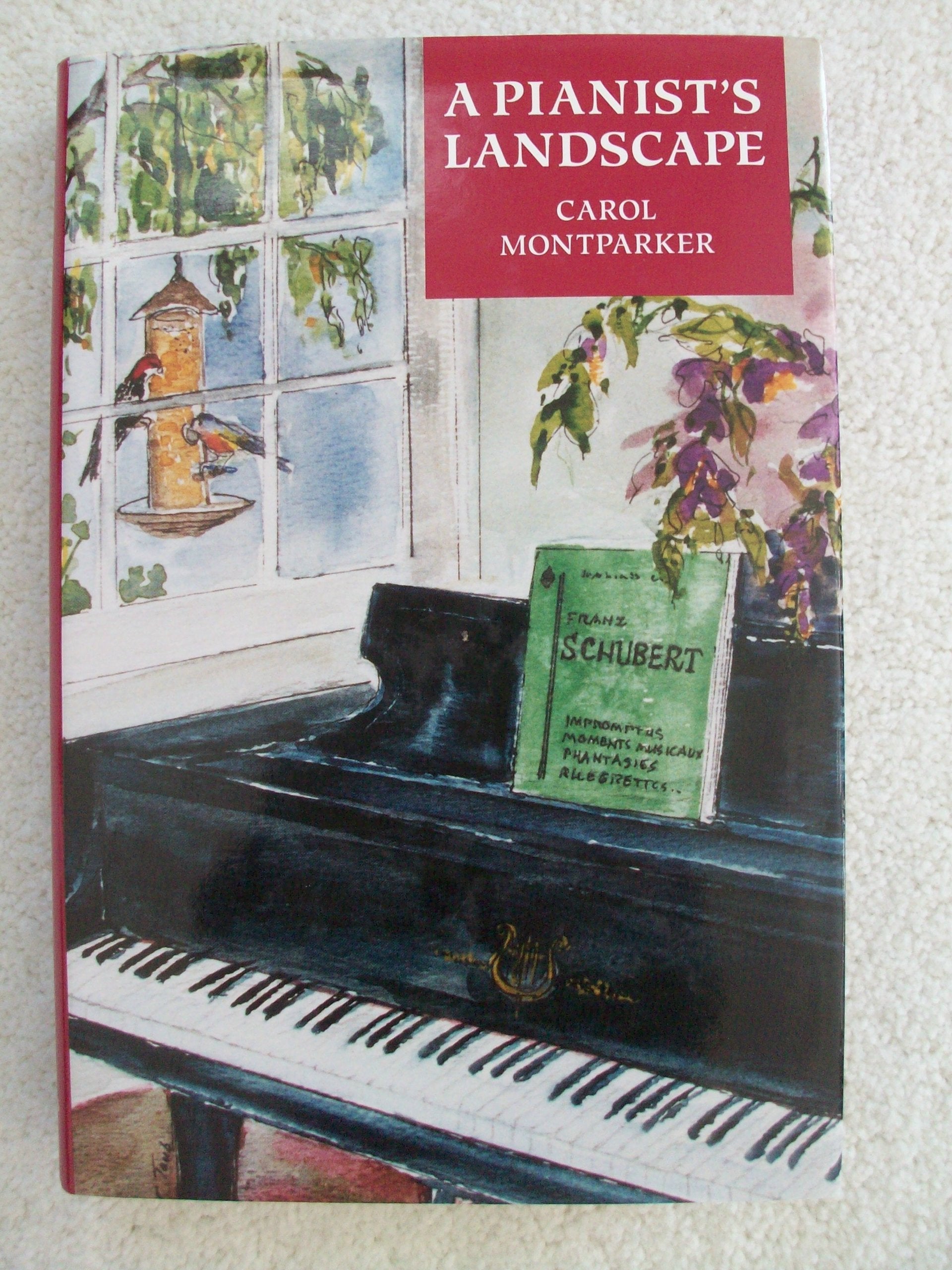 A Pianist's Landscape,Used