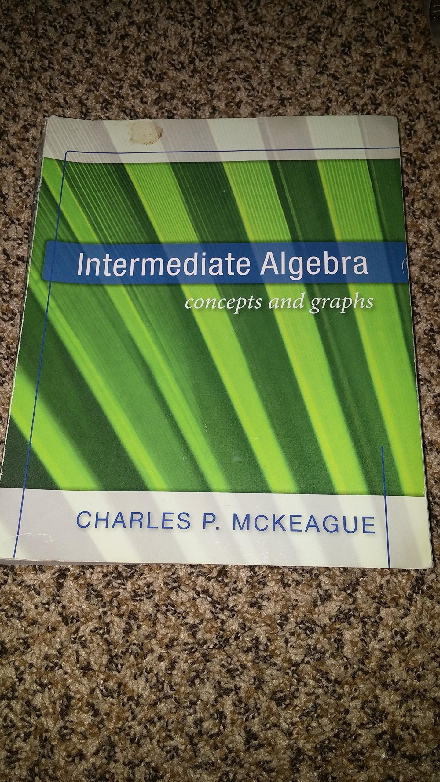 Intermediate Algebra (Concepts and Graphs),New