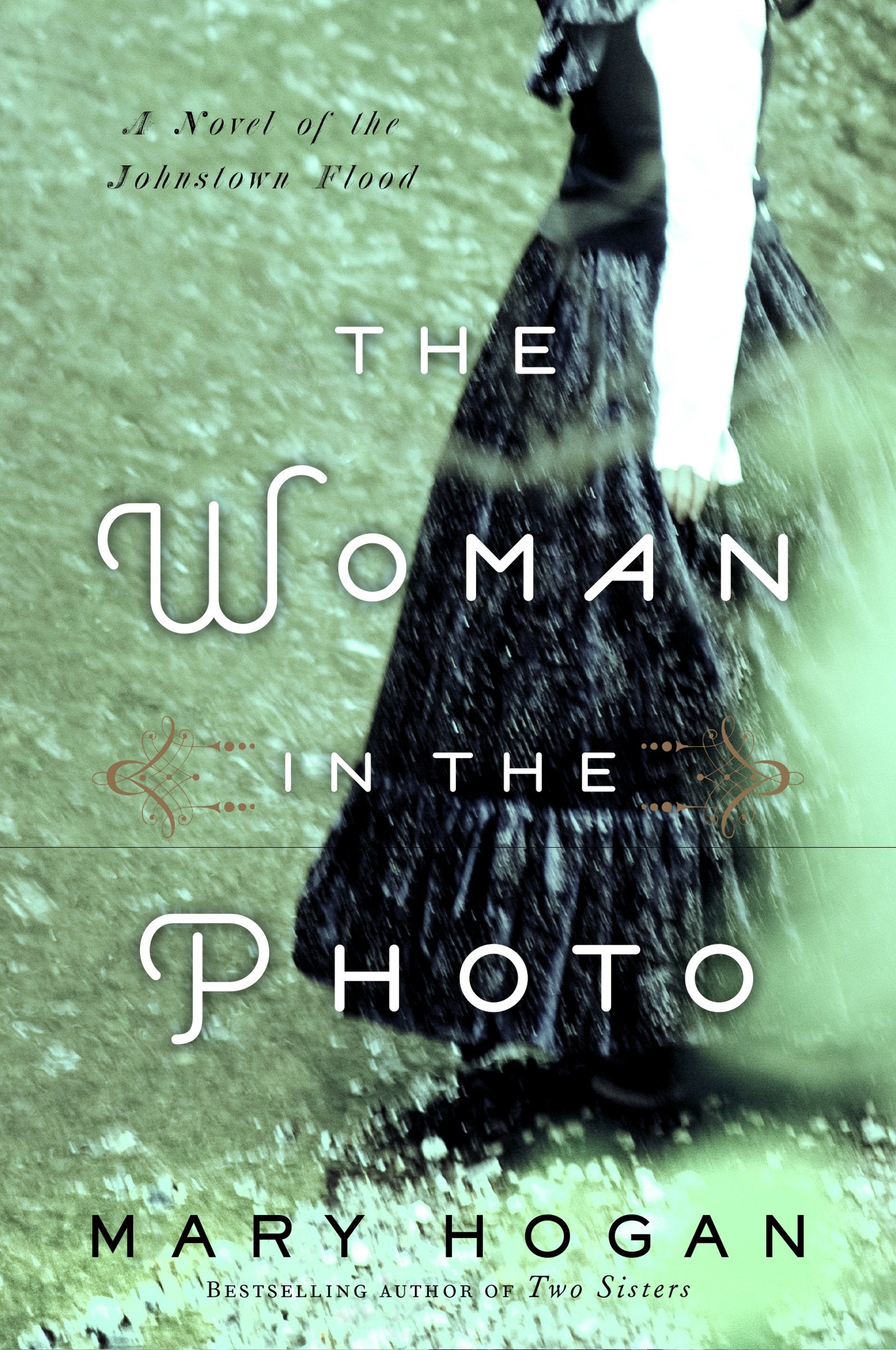 The Woman in the Photo: A Novel,Used