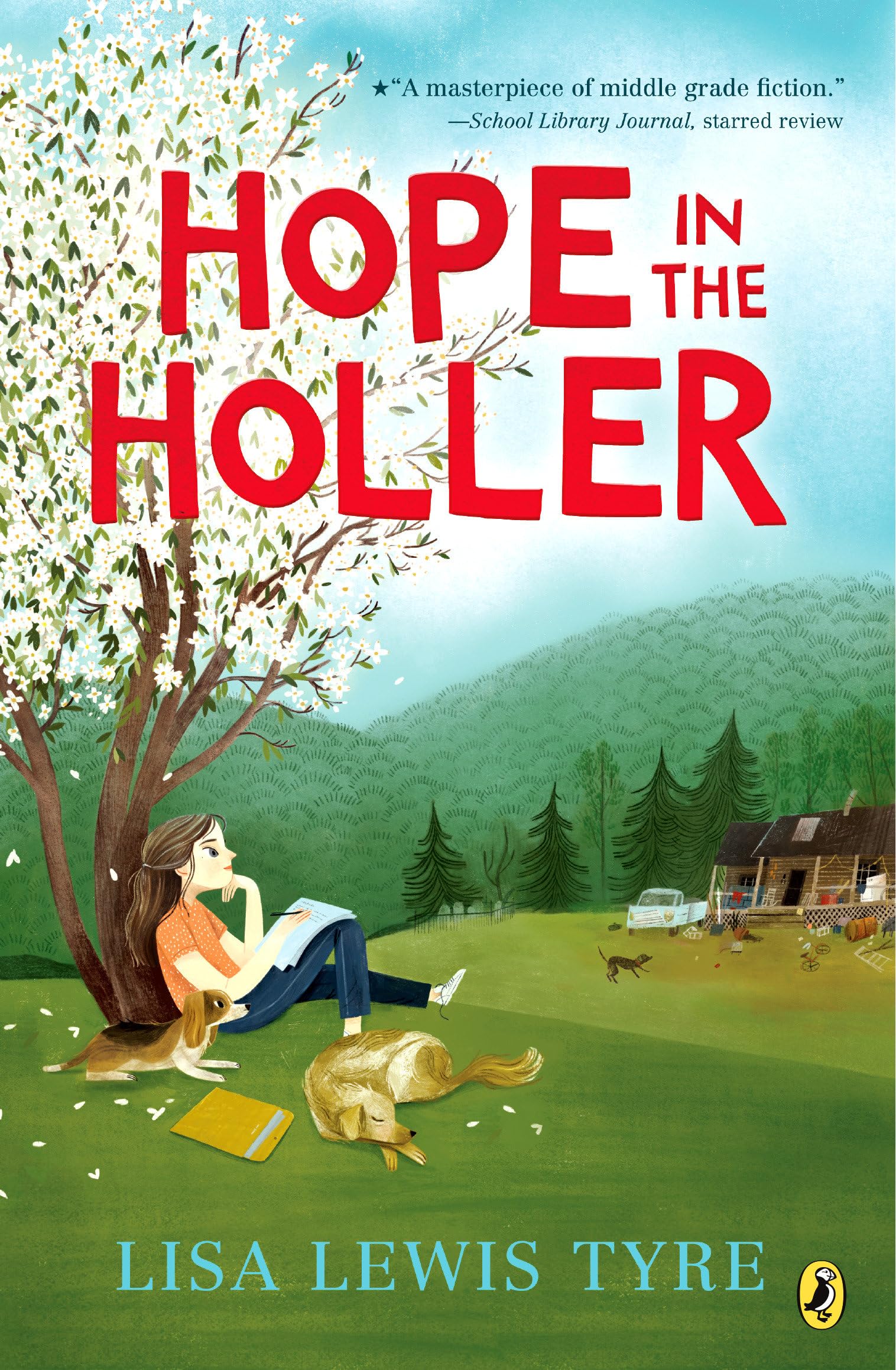 Hope in the Holler,Used