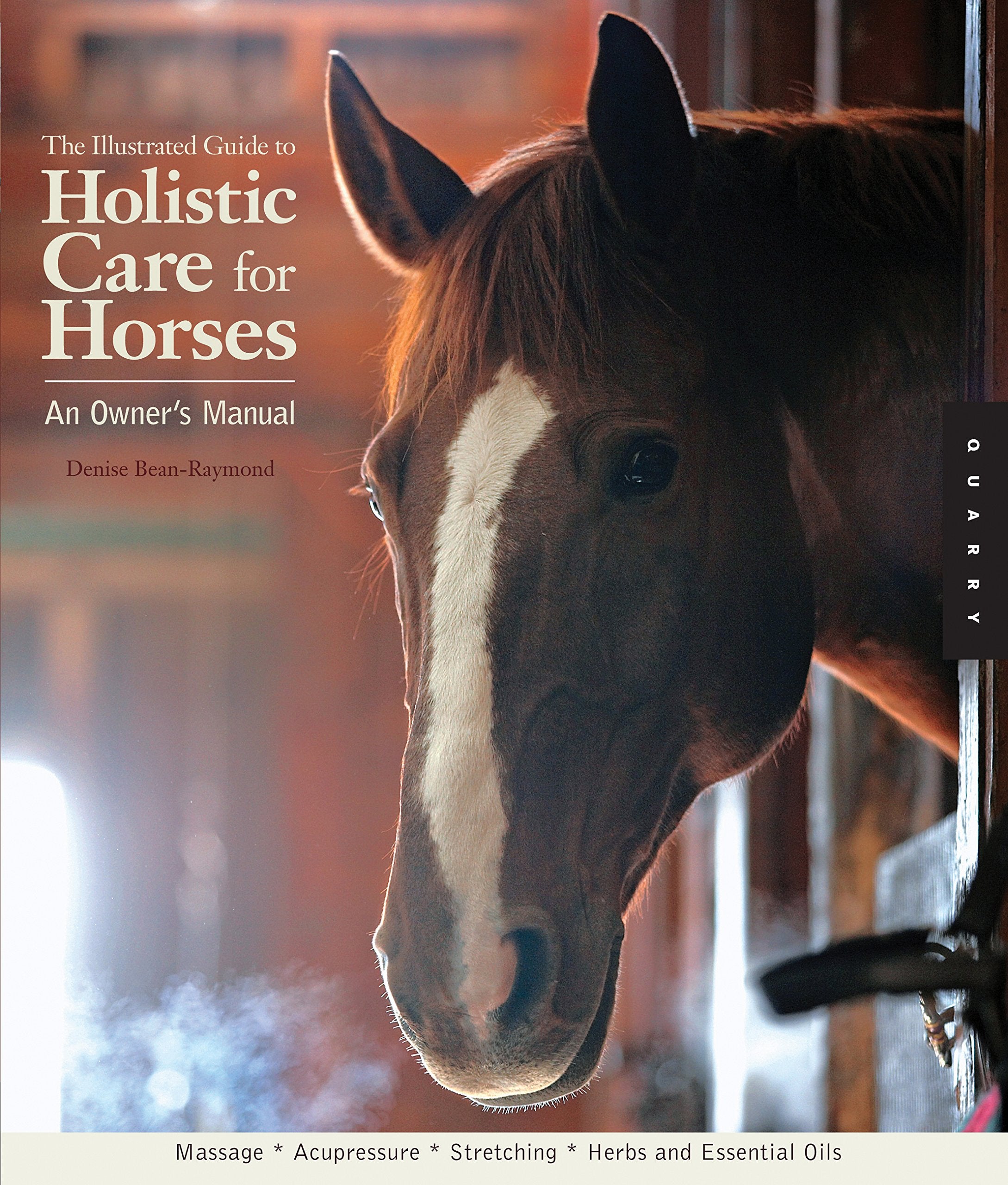 The Illustrated Guide To Holistic Care For Horses: An Owner'S Manual