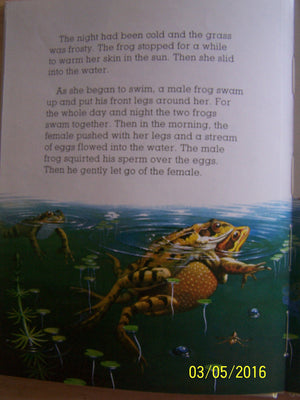 The Frog [My First Book of Nature series],Used