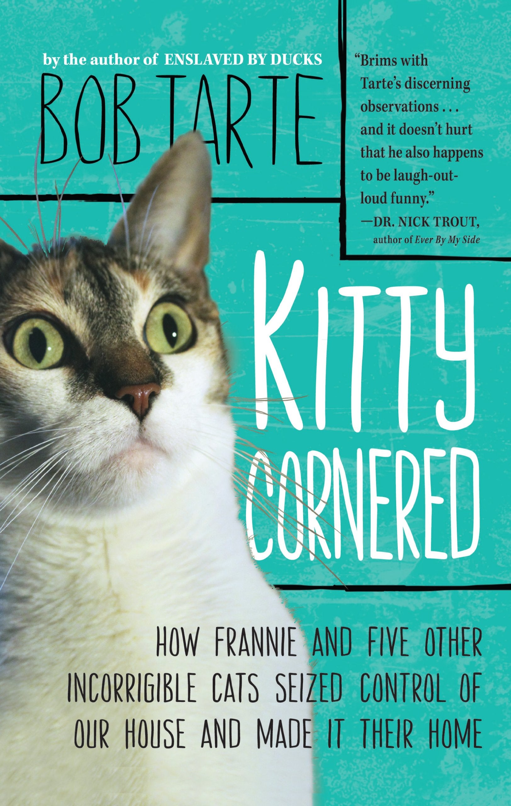 Kitty Cornered: How Frannie and Five Other Incorrigible Cats Seized Control of Our House and Made It Their Home,Used
