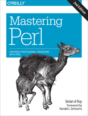Mastering Perl: Creating Professional Programs With Perl