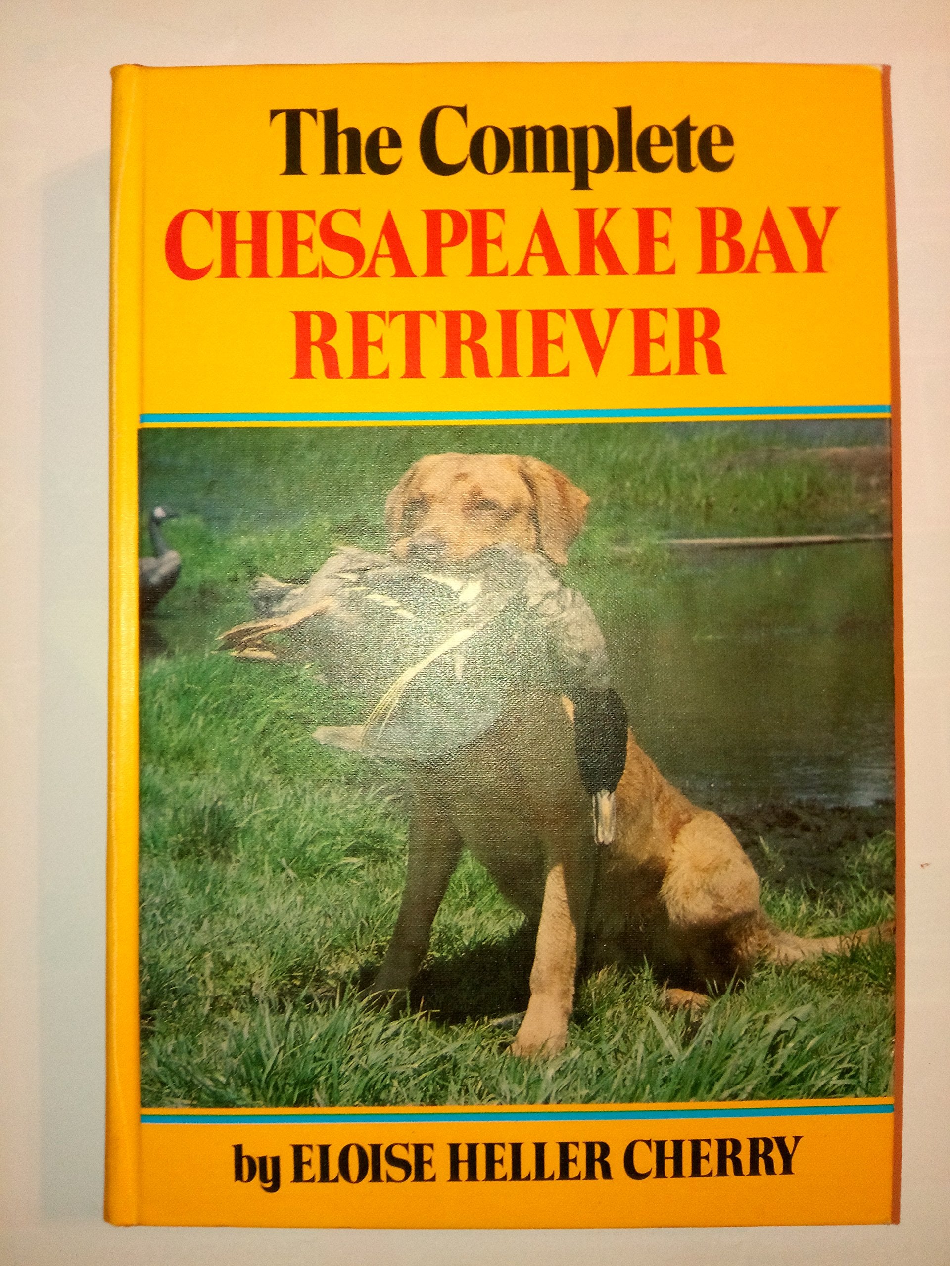 The Complete Chesapeake Bay Retriever,Used