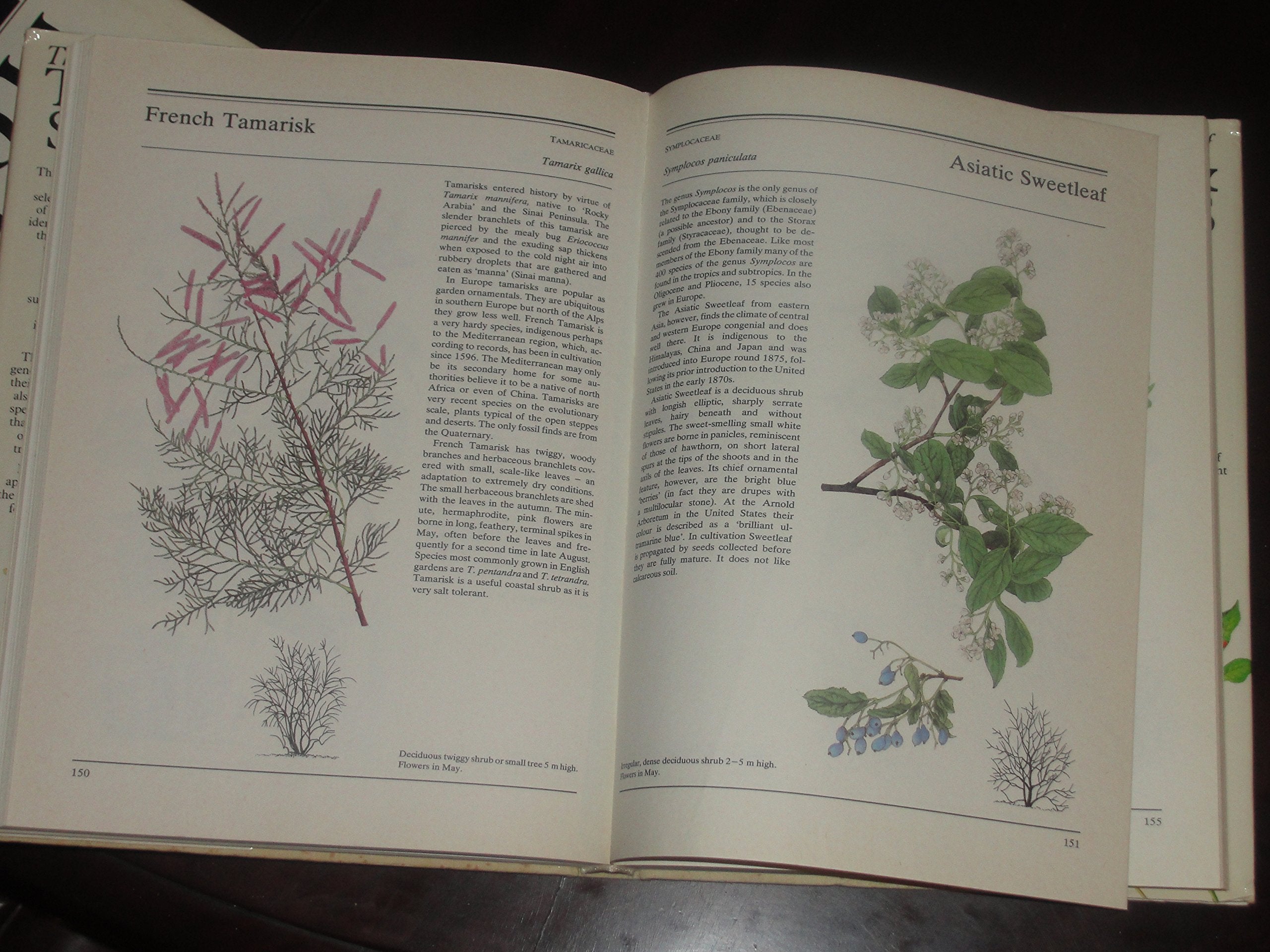 The Illustrated Book of Trees and Shrubs,Used