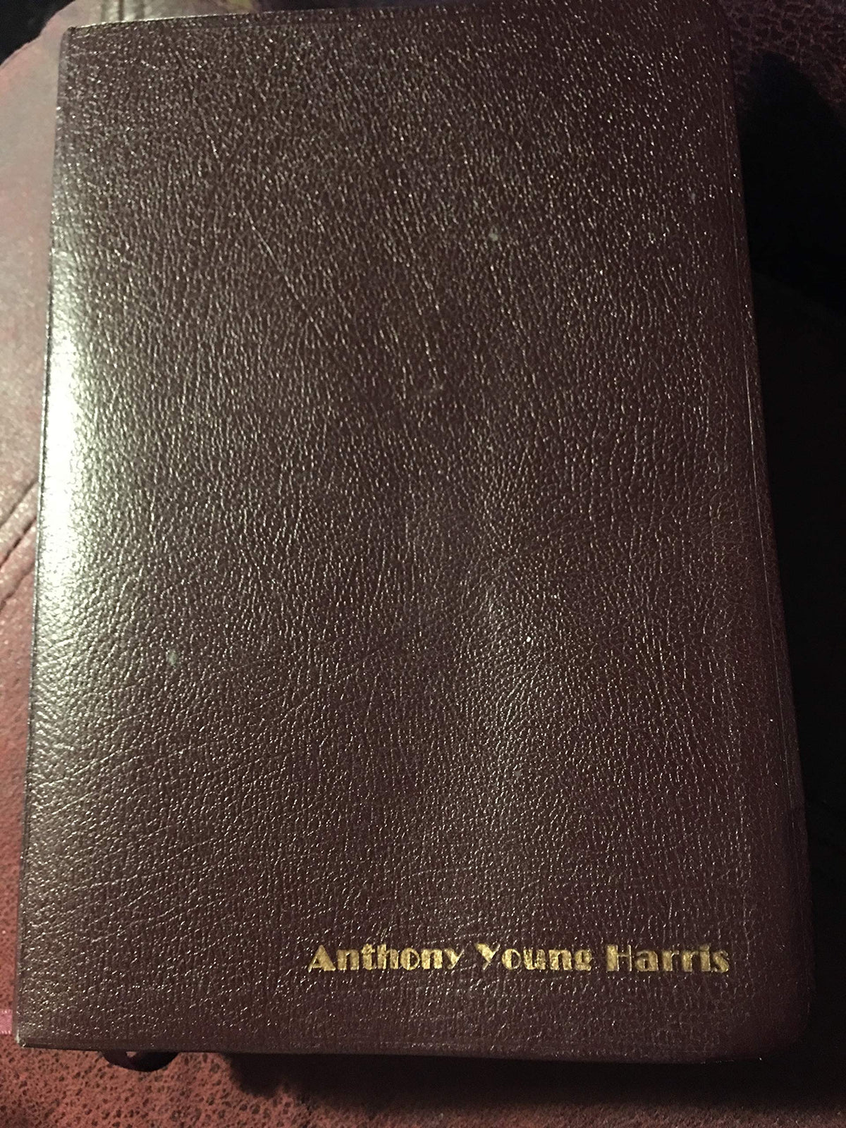 Amplified Bible, Large Print