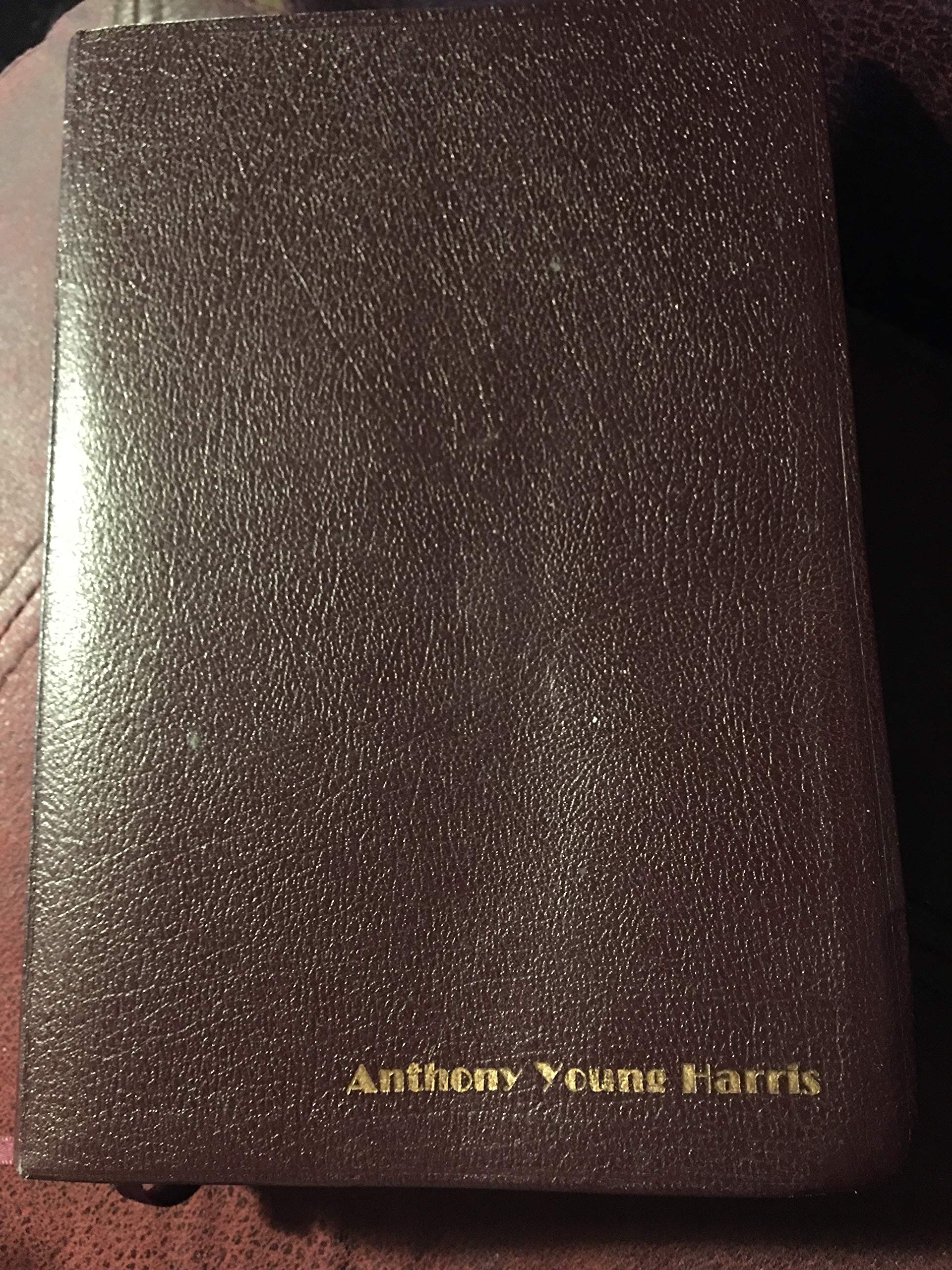 Amplified Bible, Large Print,New