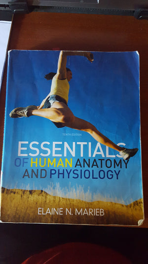 Essentials of Human Anatomy & Physiology (10th Edition),Used