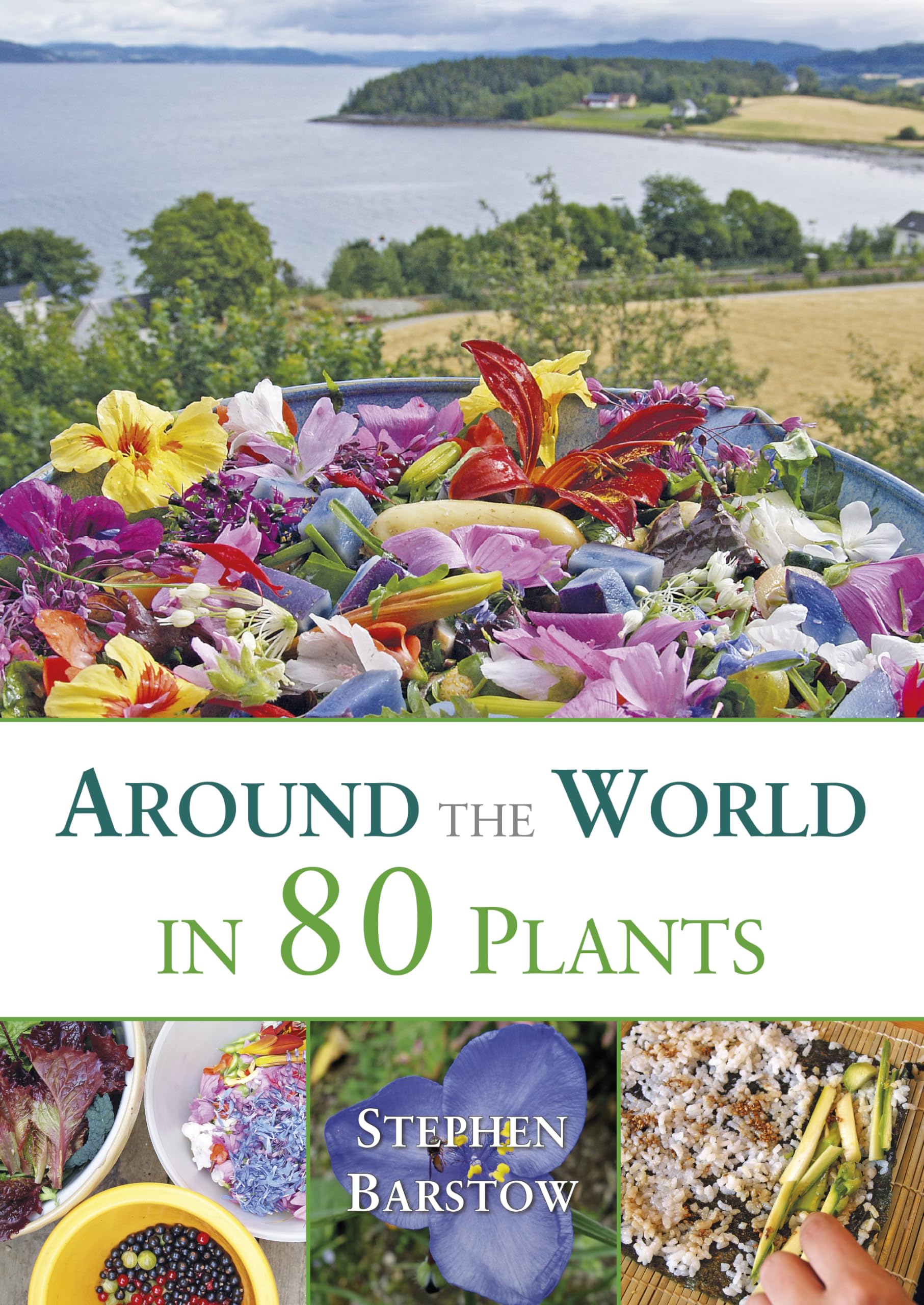Around The World In 80 Plants: An Edible Perennial Vegetable Adventure For Temperate Climates,Used
