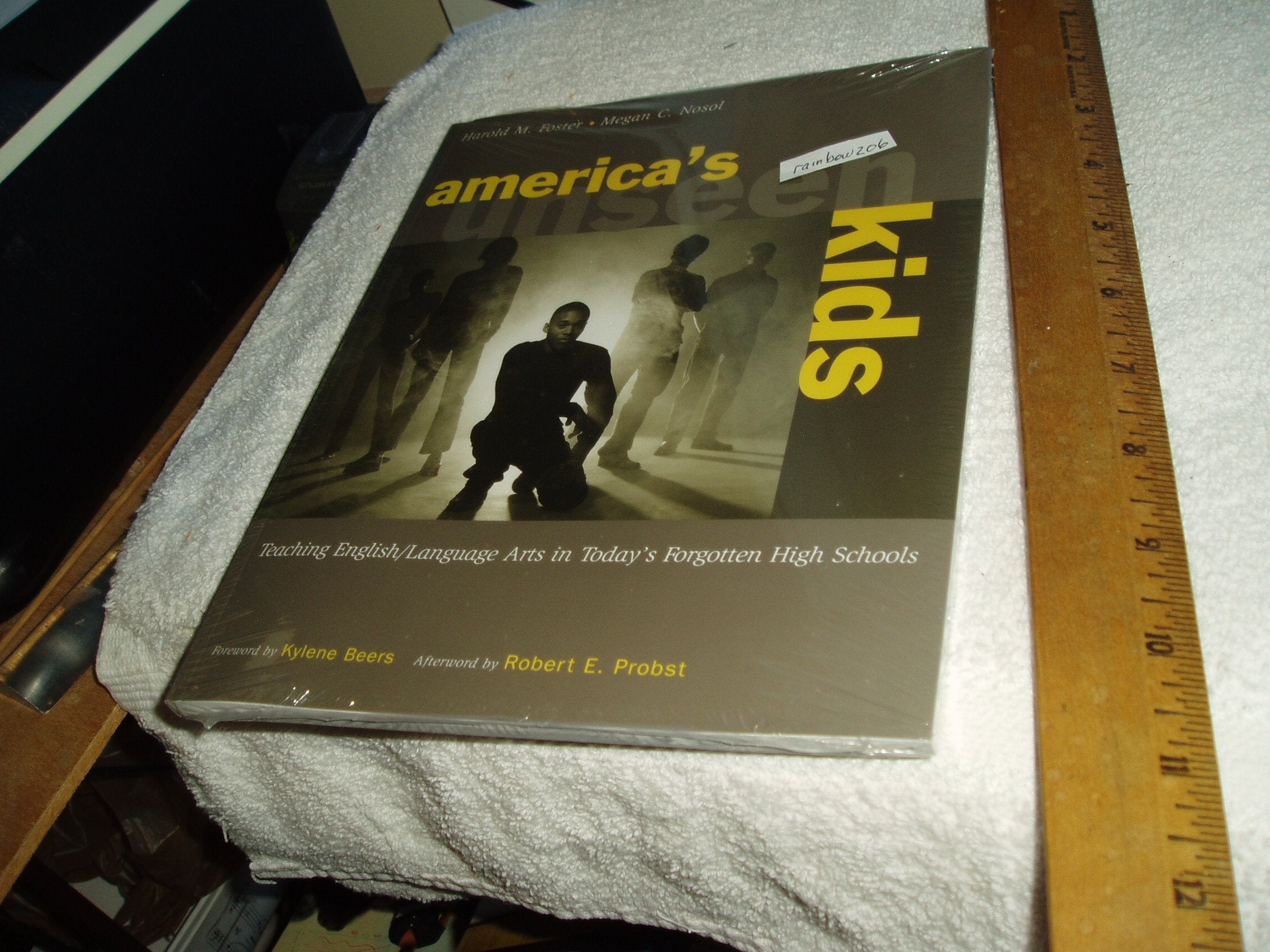 Americas Unseen Kids/Teaching English/Language Arts In Todays Forgotten High Schools: Teaching English/Language Arts In Today'S ,Used