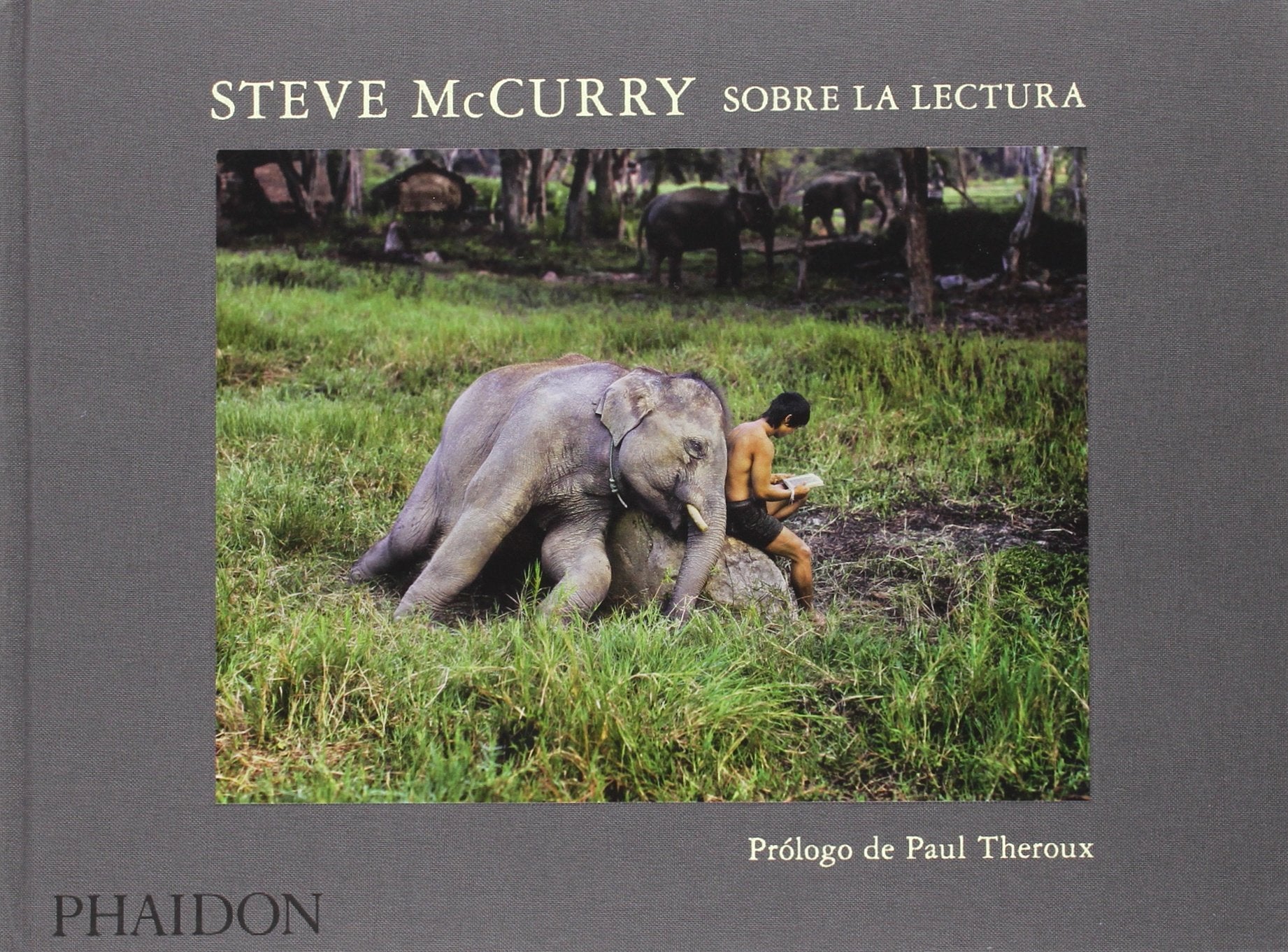 Steve Mccurry: Sobre La Lectura (On Reading) (Spanish Edition)