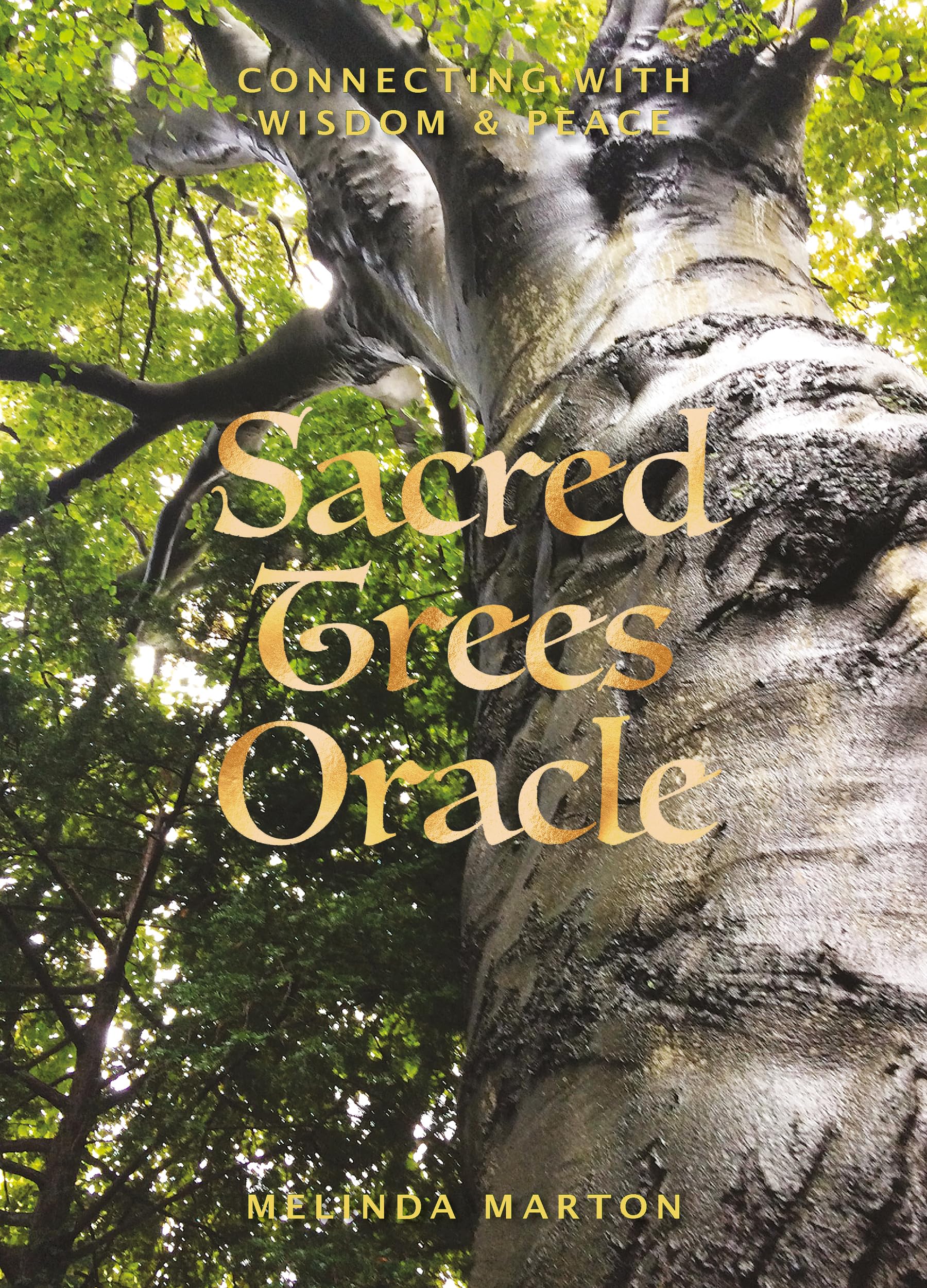 Sacred Trees Oracle: Connecting With Wisdom & Peace