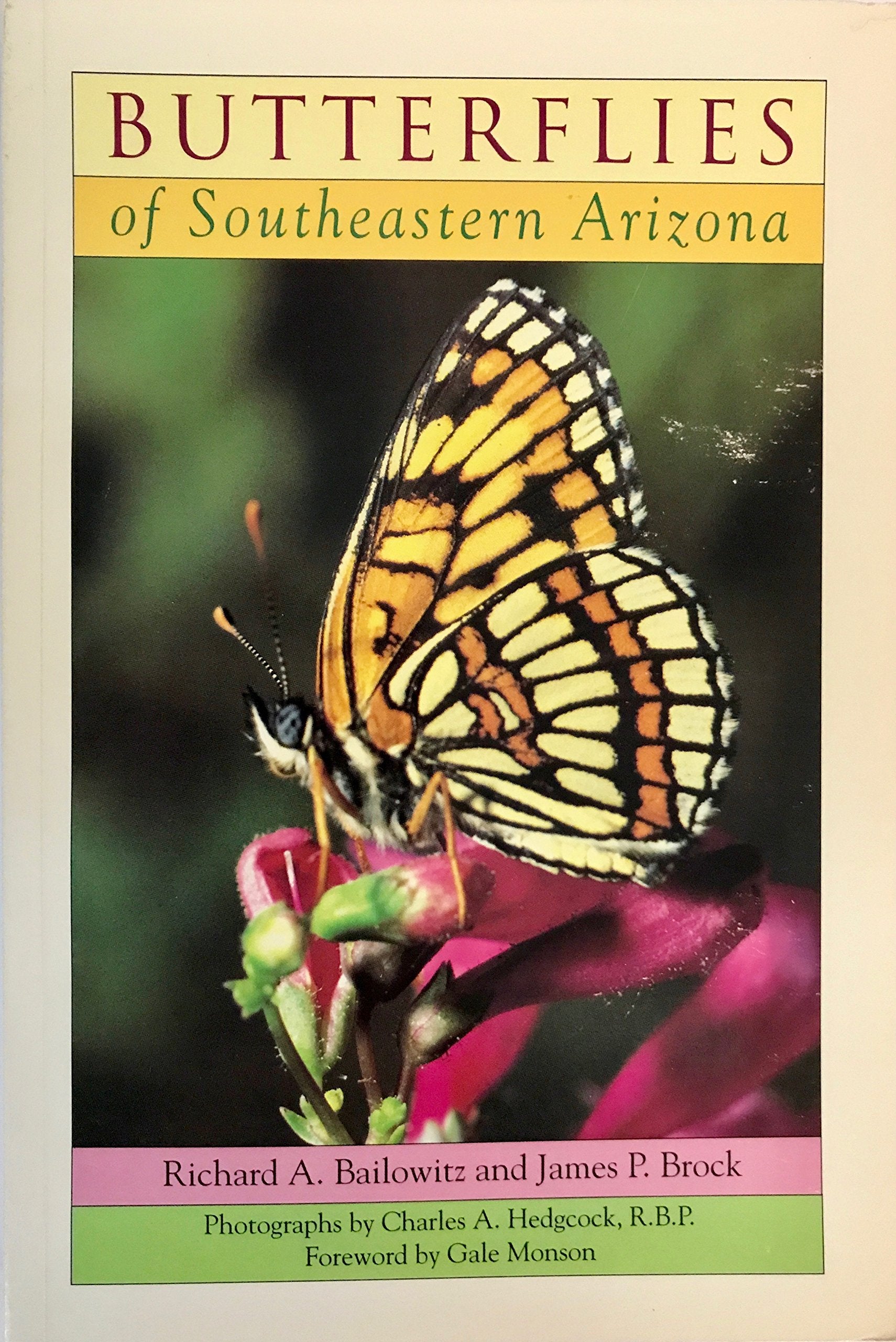 Butterflies of Southeastern Arizona,Used