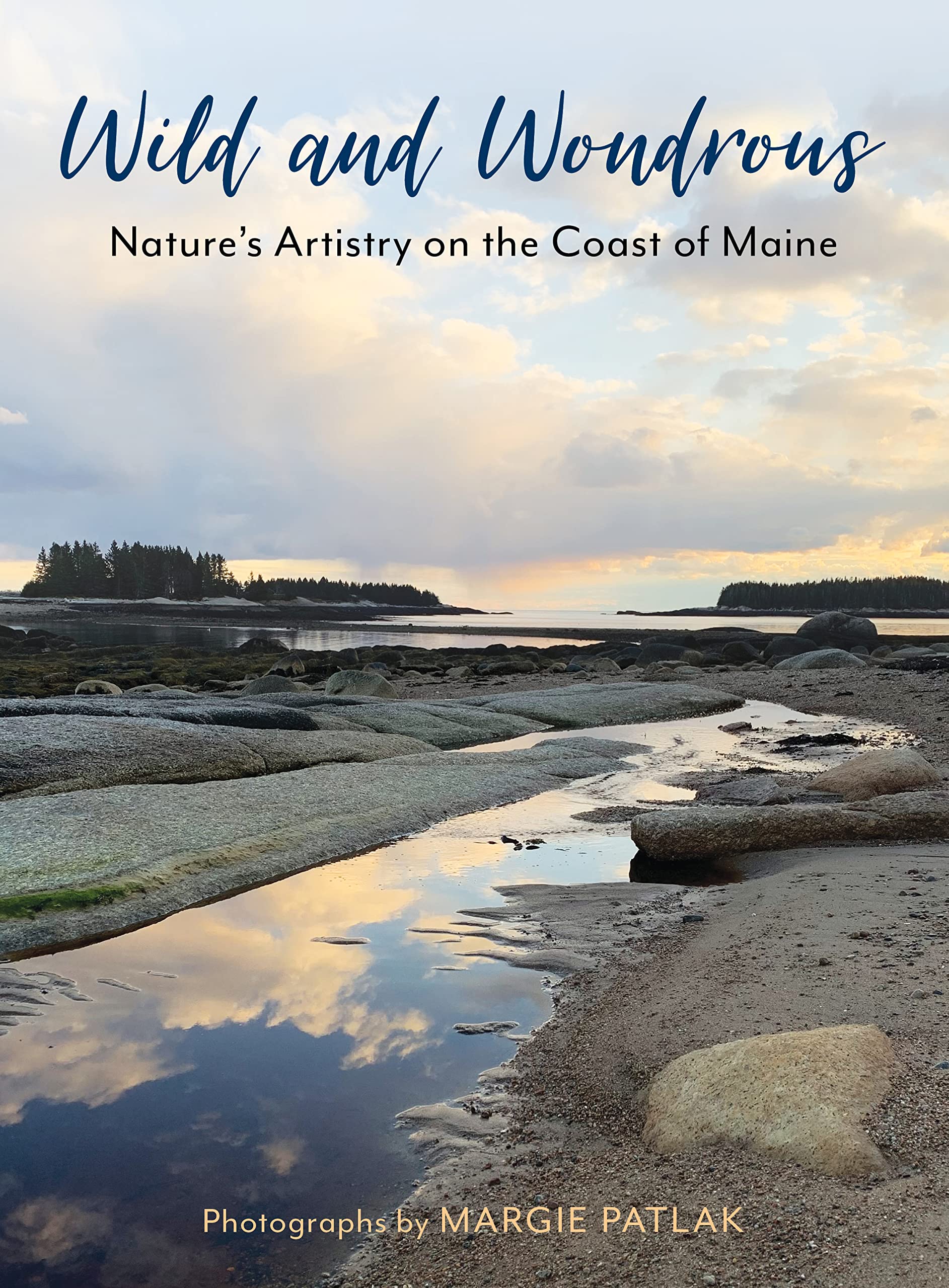 Wild And Wondrous: Nature'S Artistry On The Coast Of Maine,Used