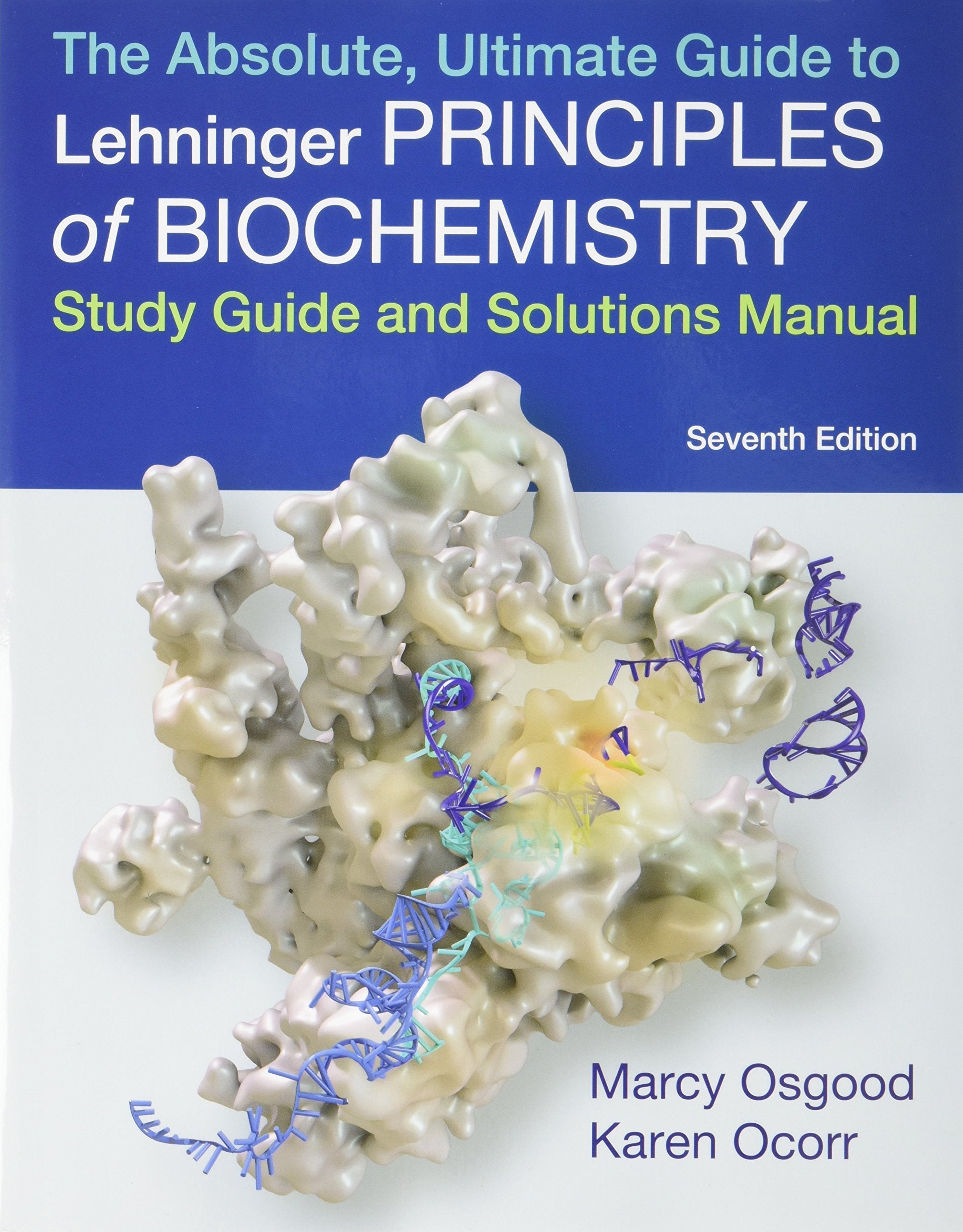 Absolute, Ultimate Guide to Principles of Biochemistry Study Guide and Solutions Manual,Used