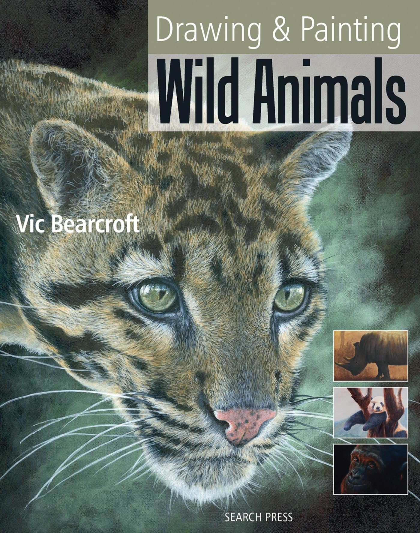 Drawing & Painting Wild Animals,Used