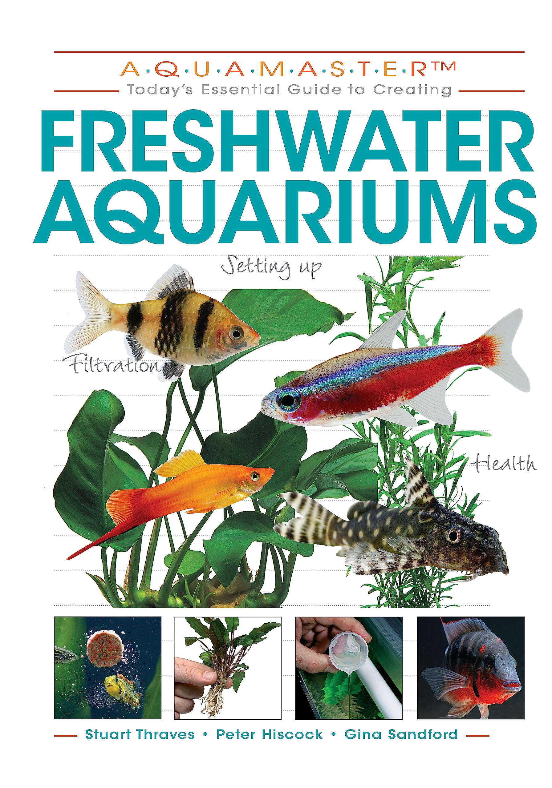 Freshwater Aquariums (CompanionHouse Books) Essential BeginnerFriendly Guide to Setting Up Your Tank, Filtration, Health, Fish,,New