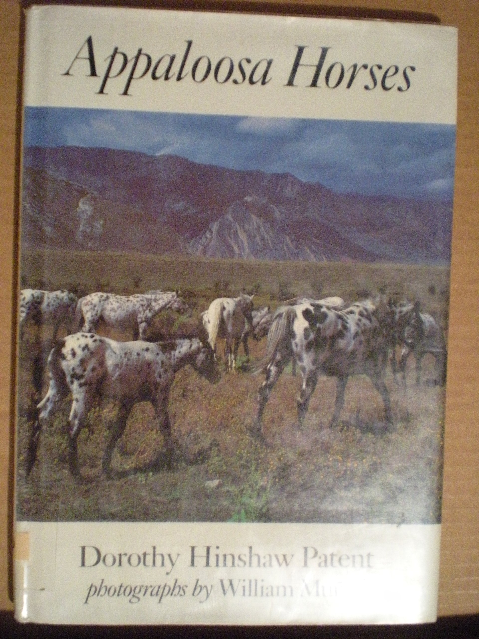 Appaloosa Horses,Used
