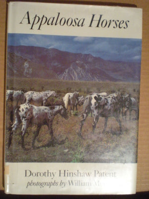 Appaloosa Horses,Used