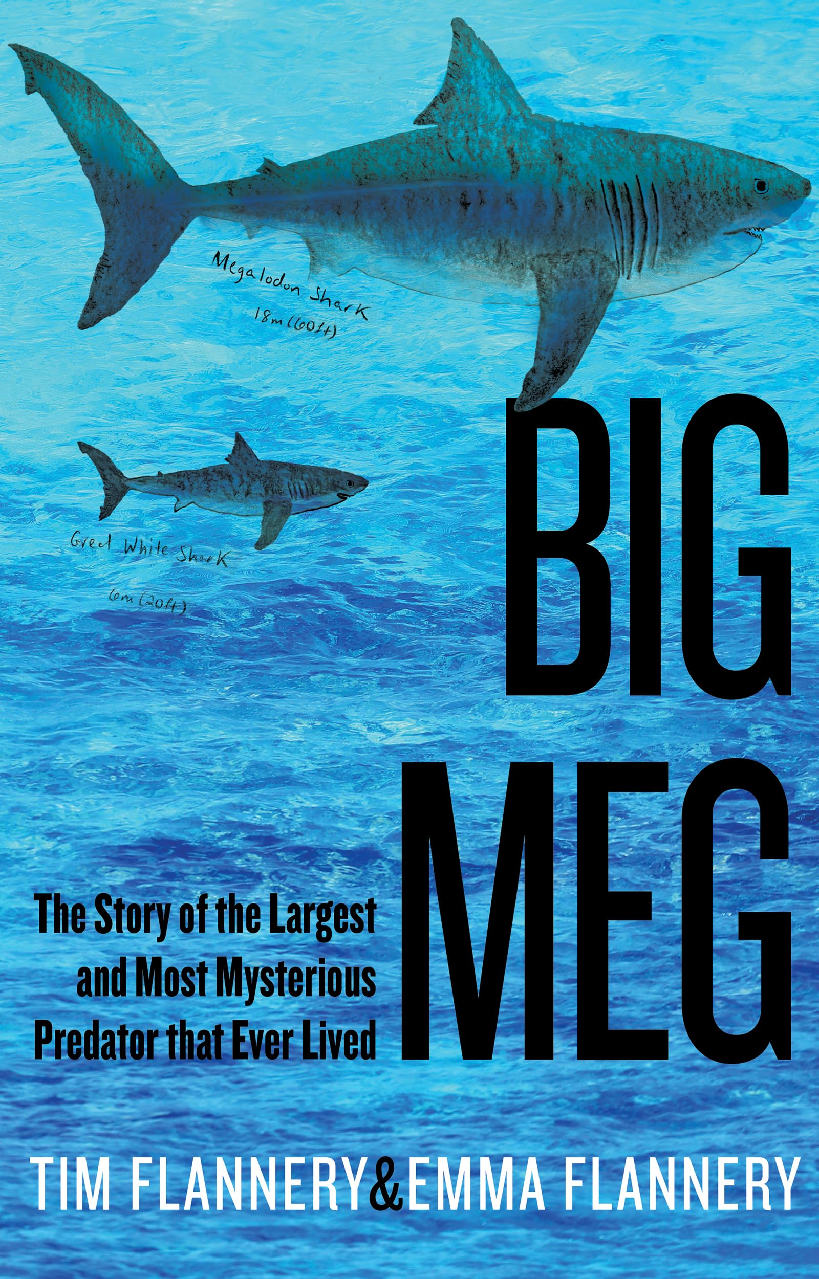 Big Meg: The Story Of The Largest And Most Mysterious Predator That Ever Lived,New