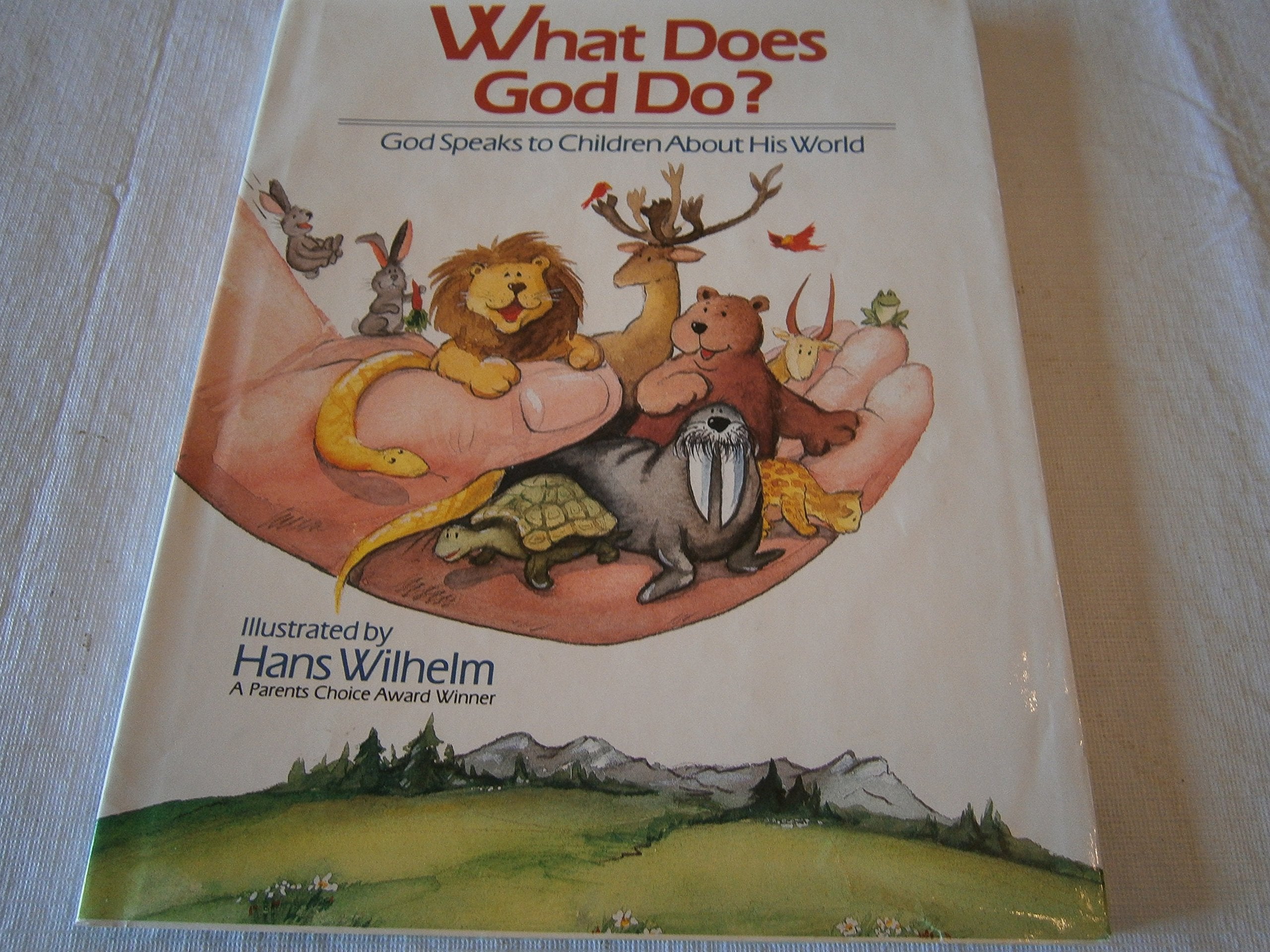 What Does God Do ?,Used