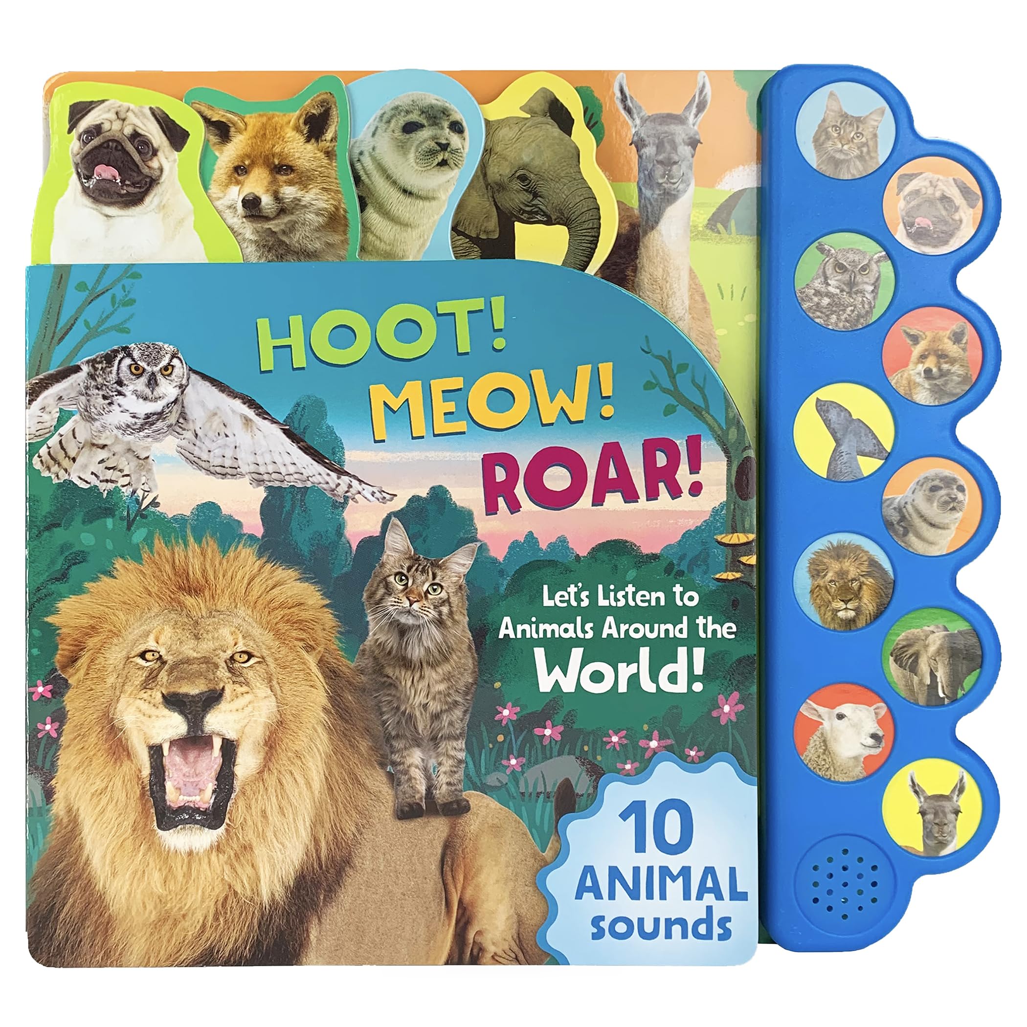 Hoot! Meow! Roar!: Let'S Listen To Animals Around The World!