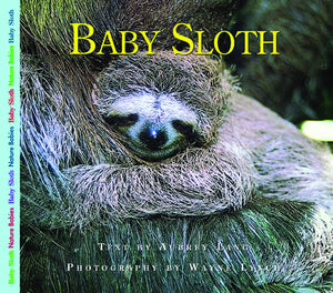 Baby Sloth (Nature Babies),Used
