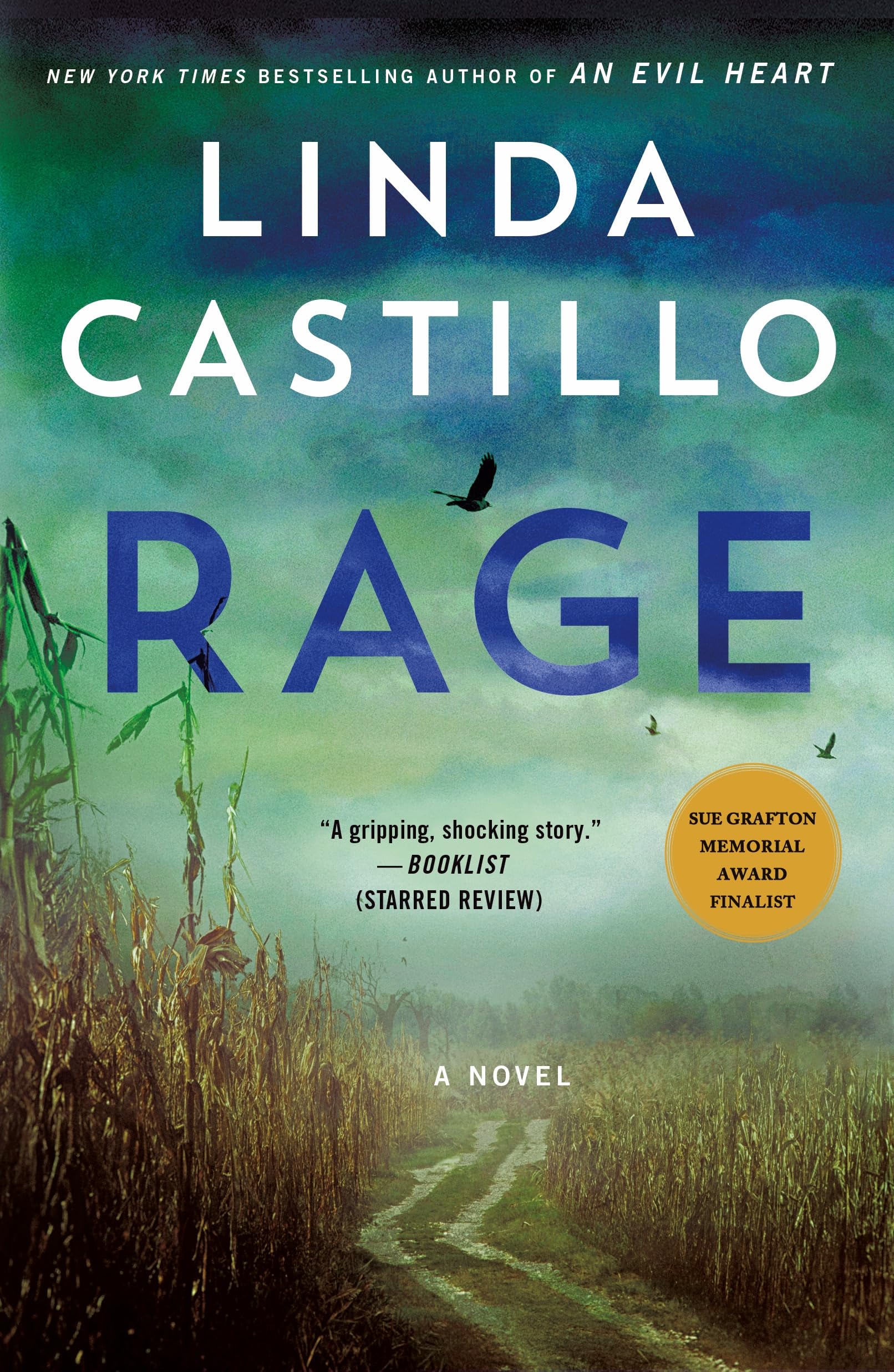 Rage: A Novel (Kate Burkholder, 17)