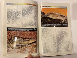 BlueTongued Skinks: Keeping & Breeding Them in Captivity,Used